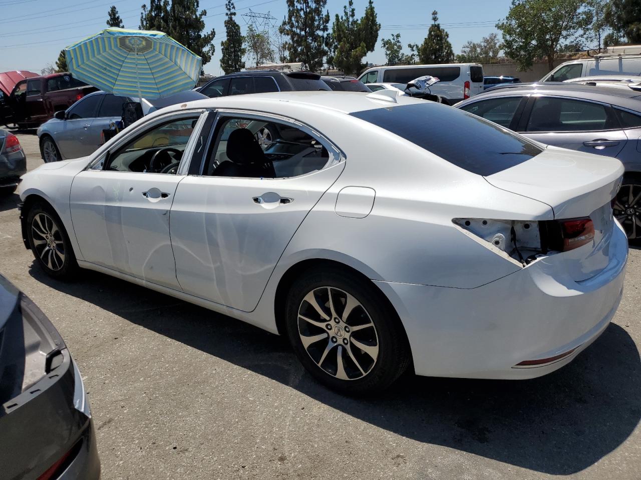 2016 Acura Tlx VIN: 19UUB1F31GA013672 Lot: 63897834