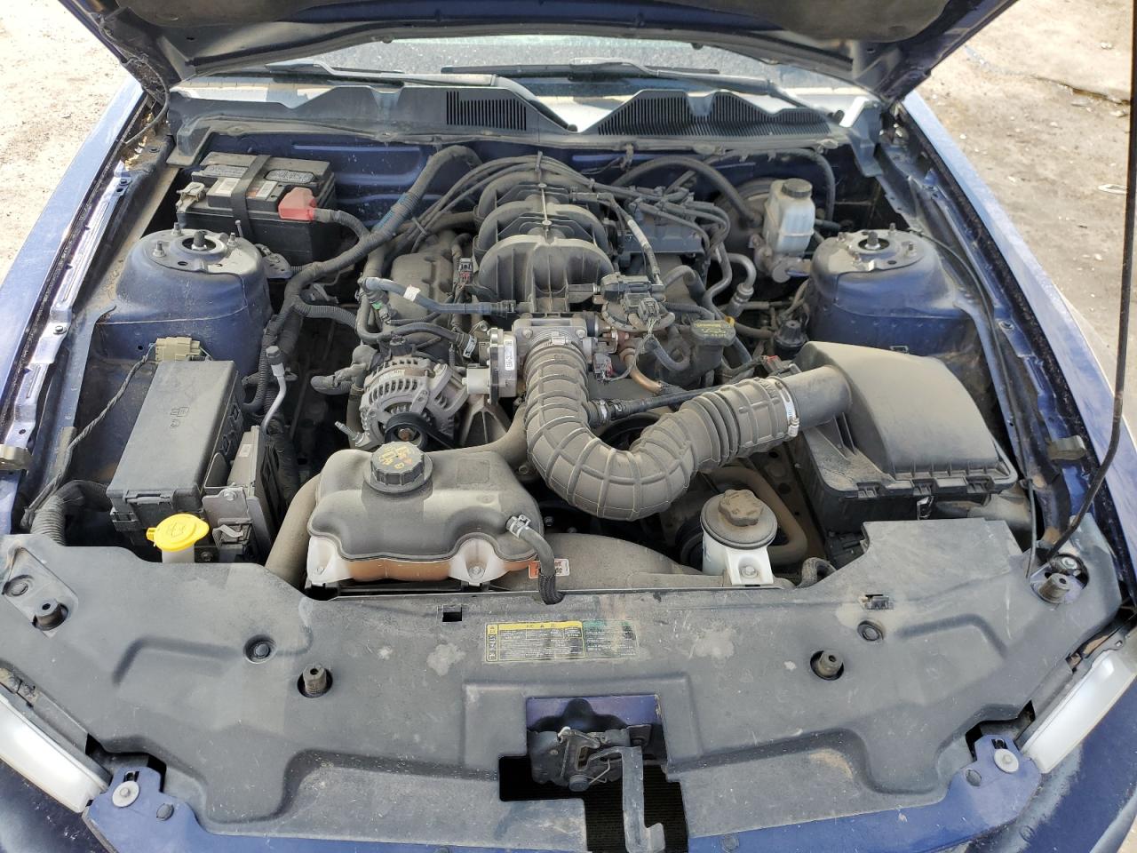 2010 Ford Mustang VIN: 1ZVBP8AN3A5172487 Lot: 63485684