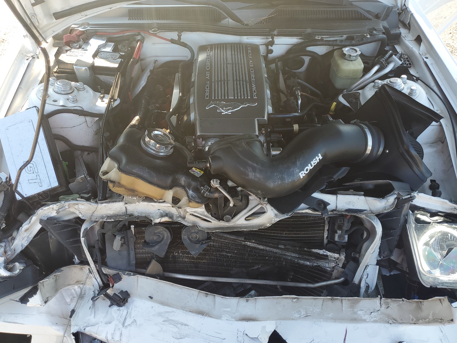 1ZVHT82H565195808 2006 Ford Mustang Gt