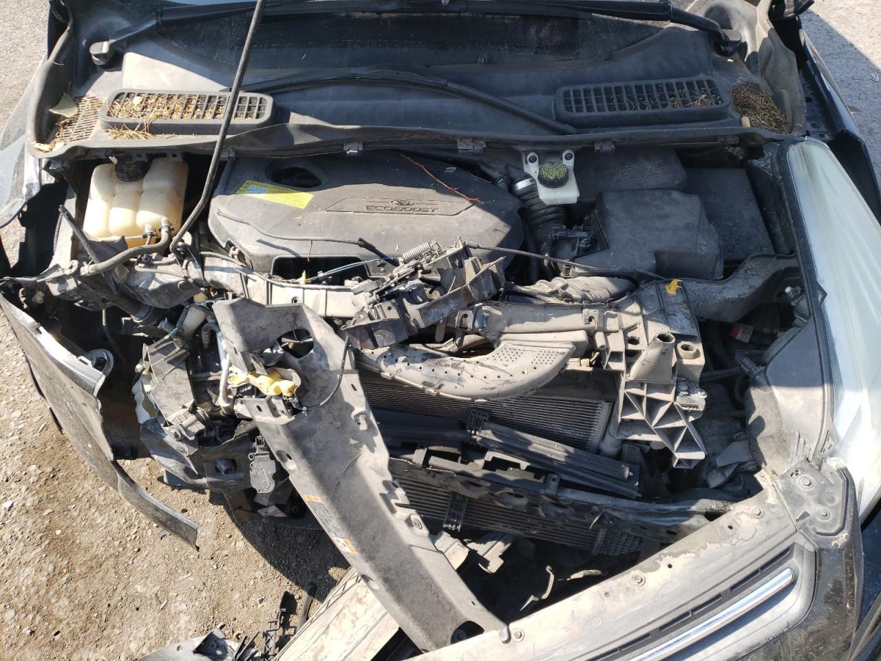 2013 Ford Escape Se VIN: 1FMCU0GX2DUD37610 Lot: 64890334