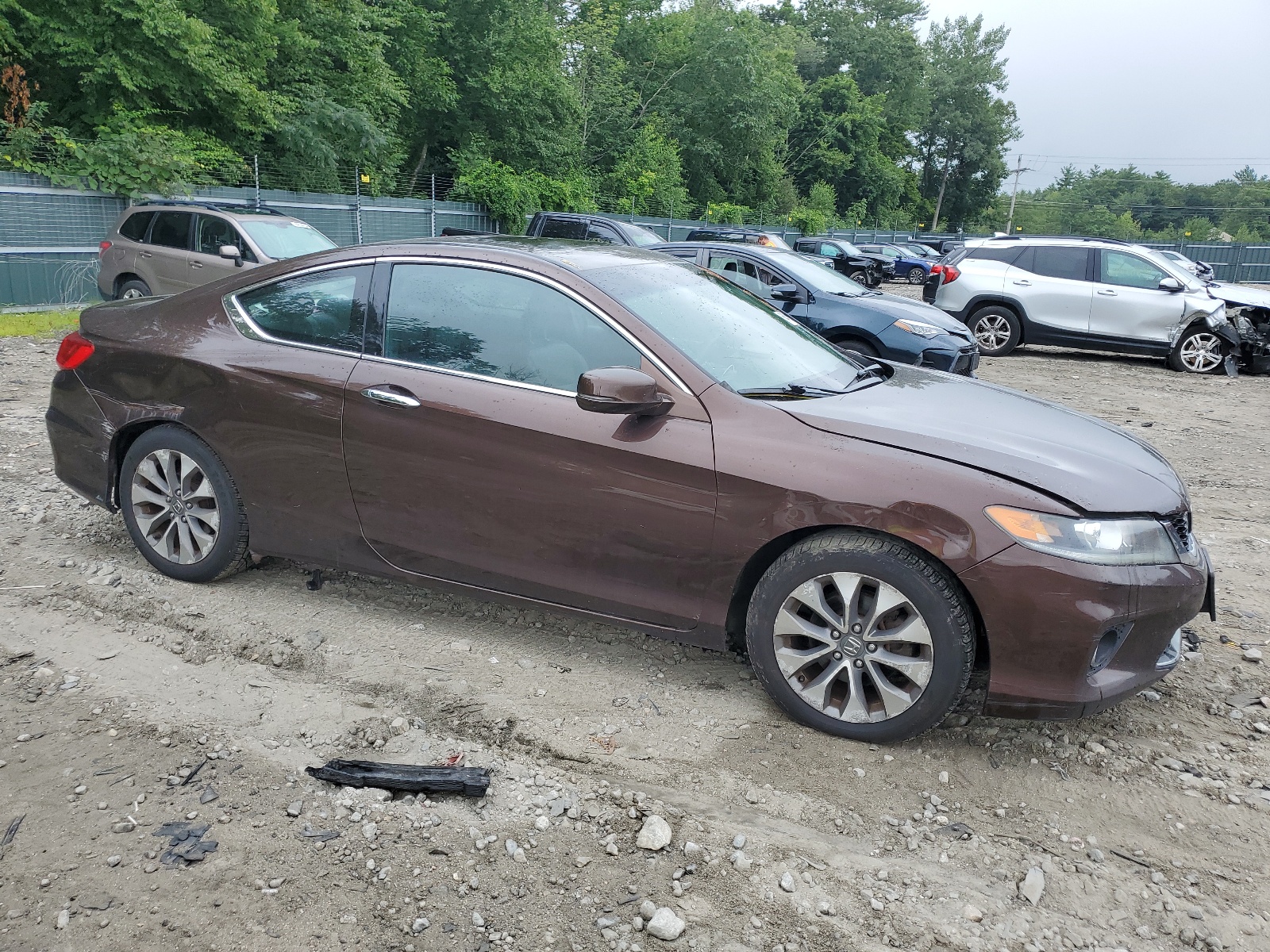 2013 Honda Accord Ex vin: 1HGCT1B74DA024176