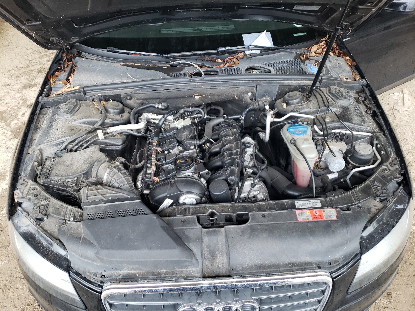 WAUBFAFL8AN009500 2010 Audi A4 Premium