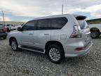 2014 Lexus Gx 460 იყიდება Tifton-ში, GA - Minor Dent/Scratches