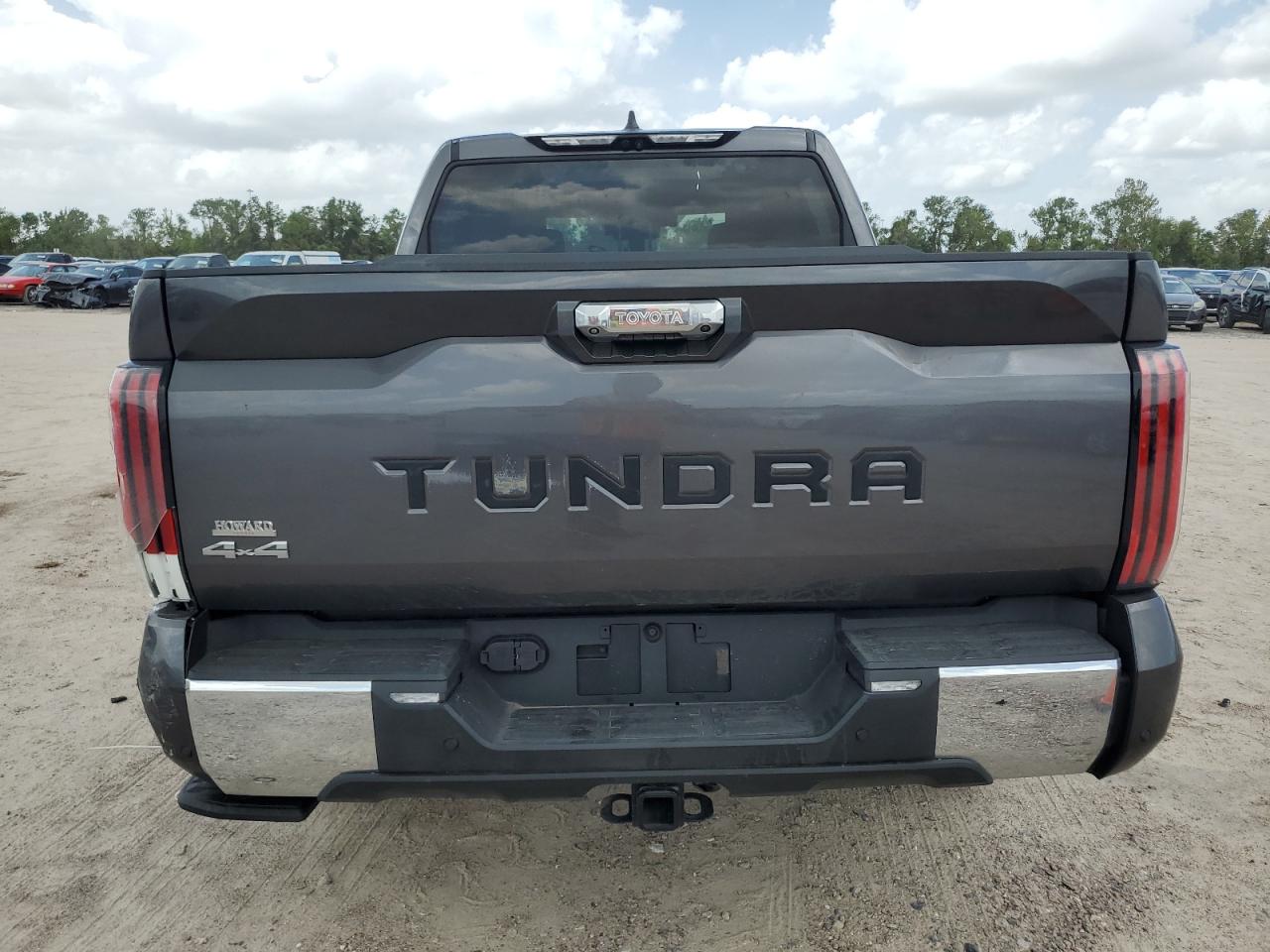 2024 Toyota Tundra Crewmax Platinum VIN: 5TFMC5DB4RX065357 Lot: 61918934