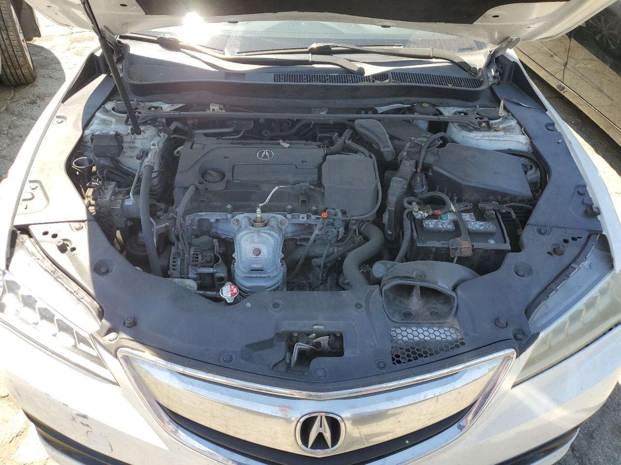 2015 Acura Tlx Tech VIN: 19UUB1F55FA021855 Lot: 63138224