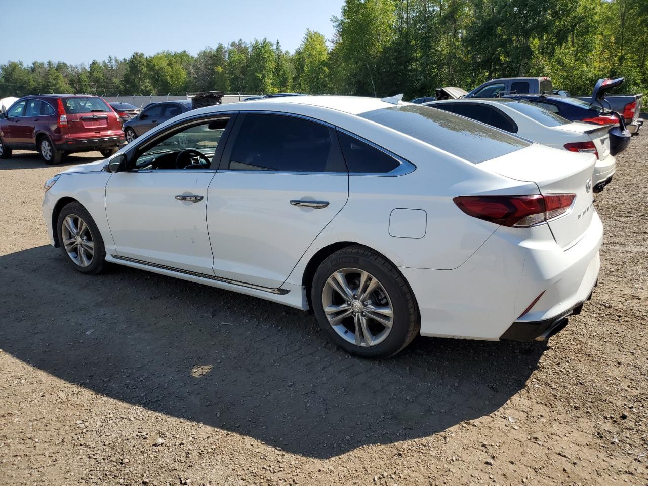 5NPE34AF6KH790157 2019 HYUNDAI SONATA - Image 2