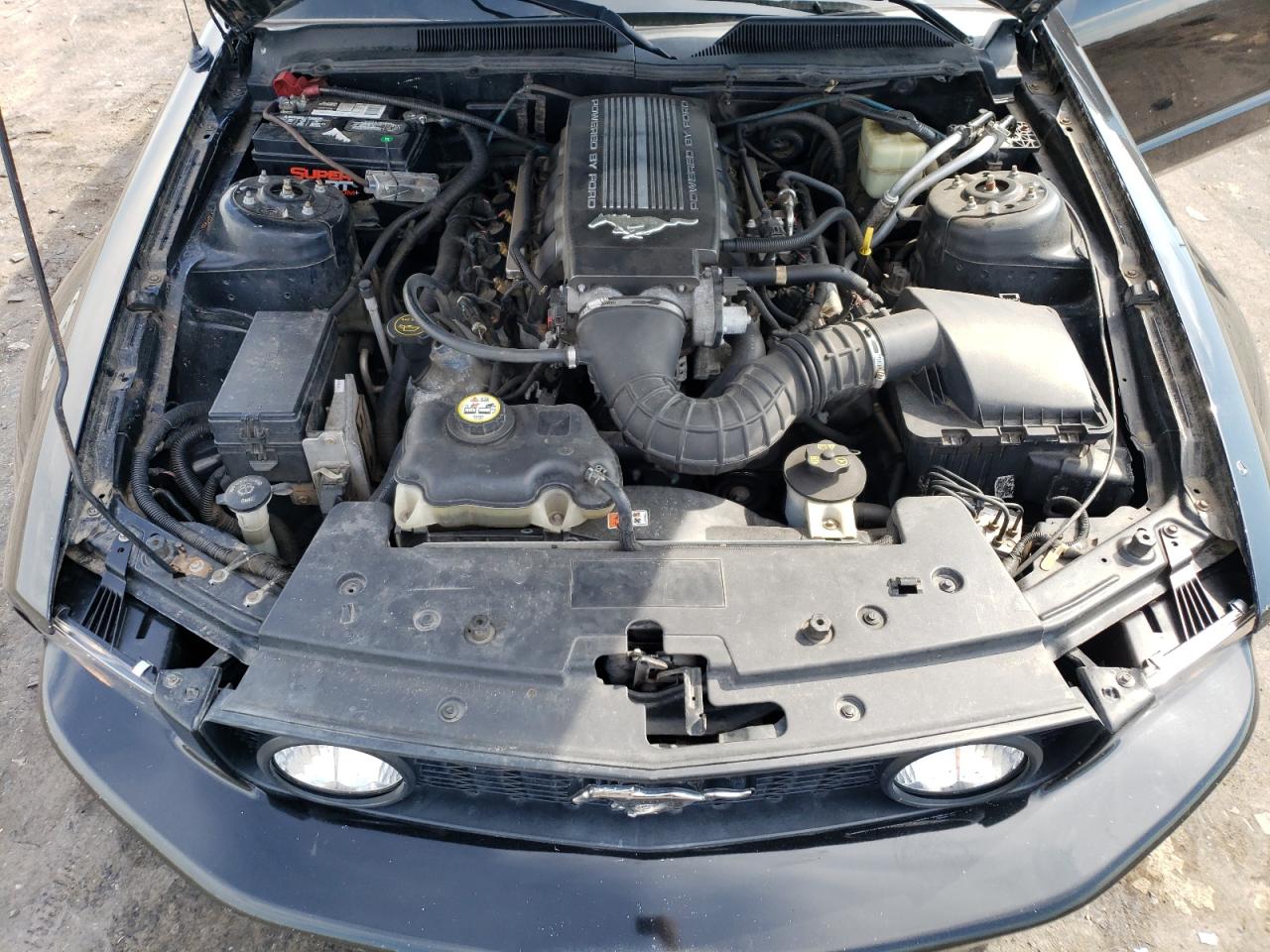 2007 Ford Mustang Gt VIN: 1ZVFT82H075202527 Lot: 64576004