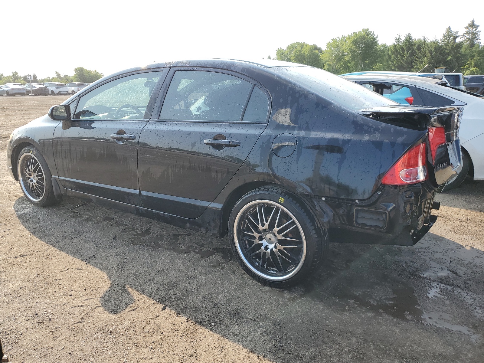 2HGFA16817H016239 2007 Honda Civic Ex