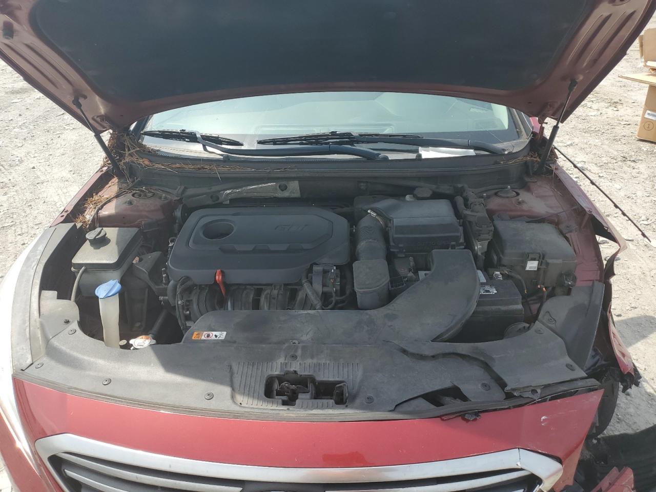 5NPE24AF4GH302494 2016 Hyundai Sonata Se