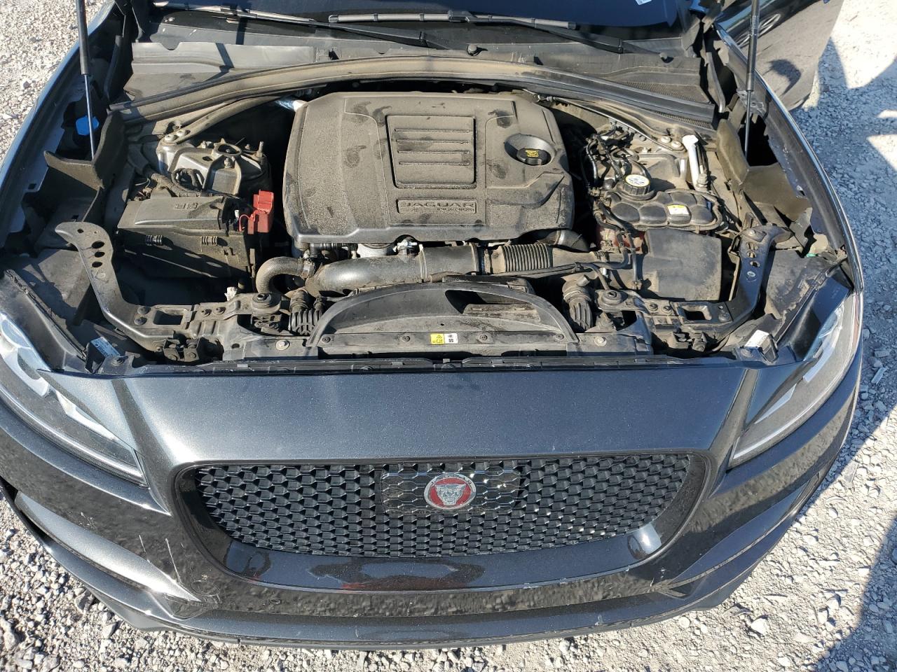 2019 Jaguar F-Pace Premium VIN: SADCJ2FX2KA612843 Lot: 62760244