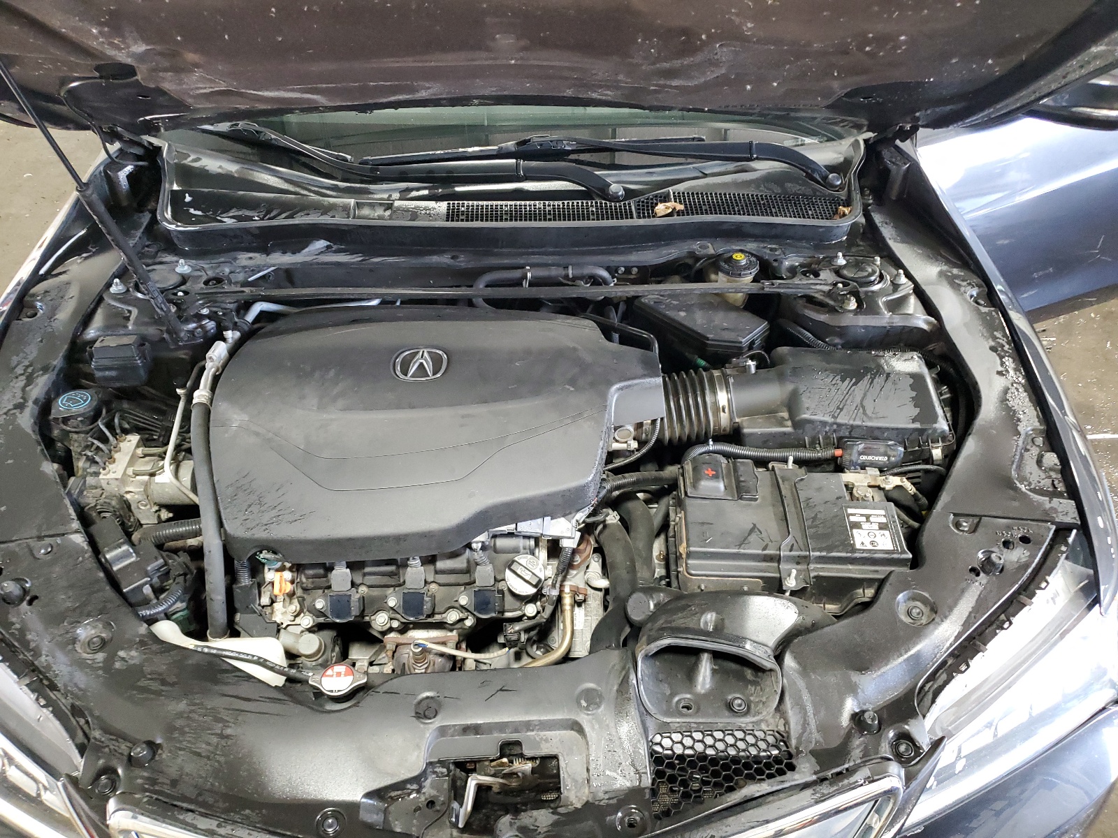 19UUB3F71FA004516 2015 Acura Tlx Advance