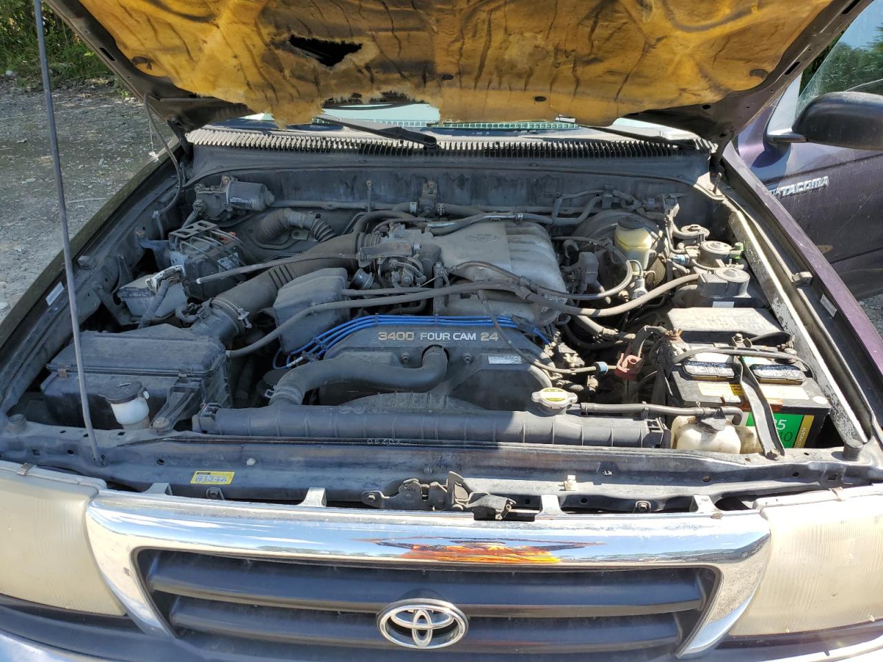 1999 Toyota Tacoma Xtracab VIN: 4TAWN72N7XZ572469 Lot: 61088004