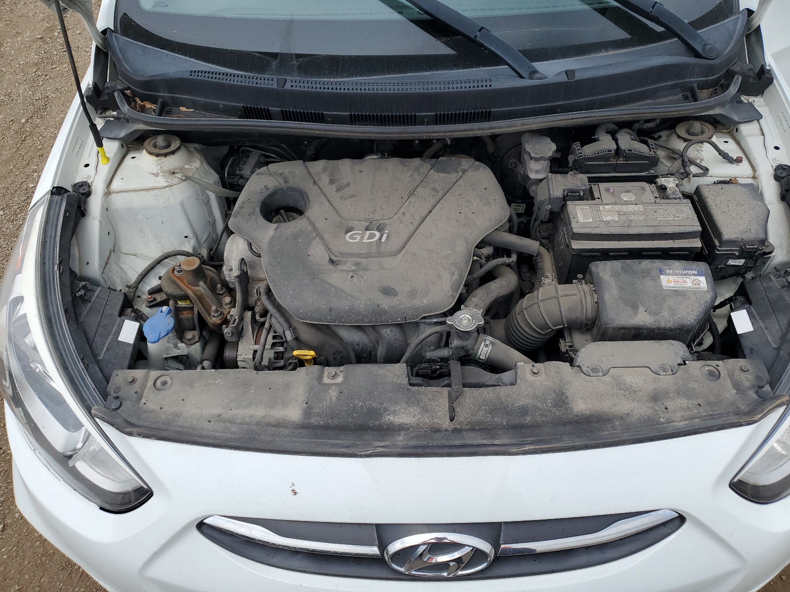 KMHCT4AE2GU996423 2016 Hyundai Accent Se