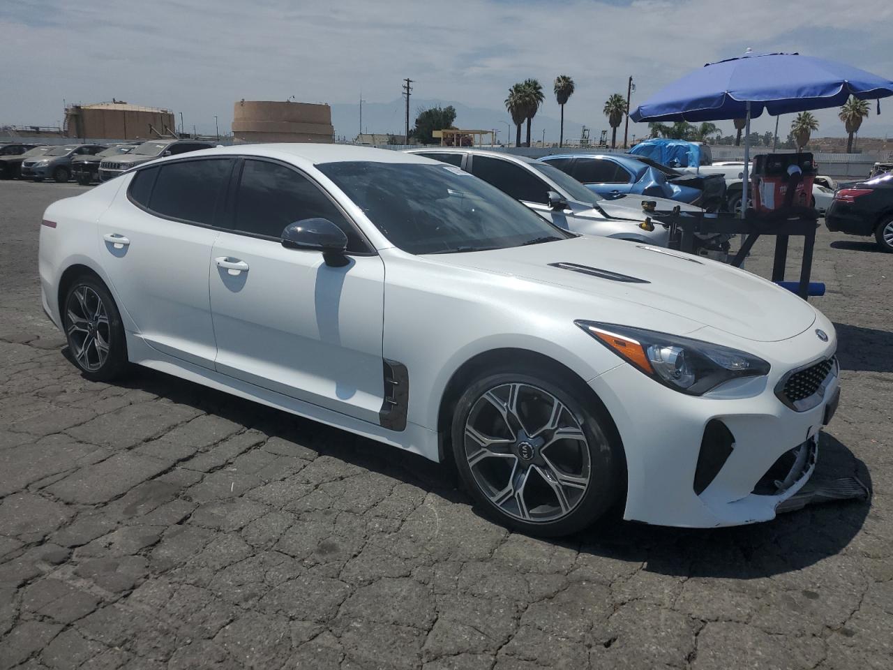 2021 Kia Stinger VIN: KNAE15LA5M6088404 Lot: 63706894