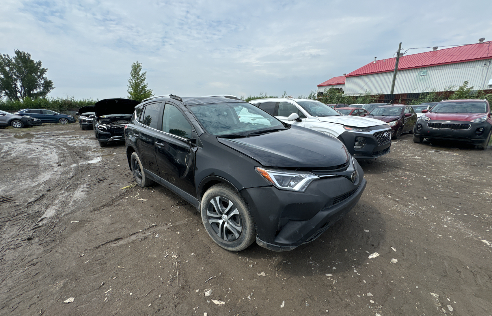 2016 Toyota Rav4 Le vin: 2T3ZFREV7GW243504