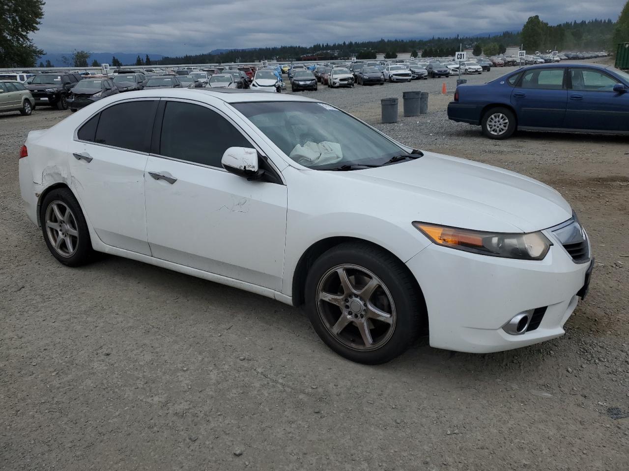 2012 Acura Tsx VIN: JH4CU2F41CC009962 Lot: 64710184