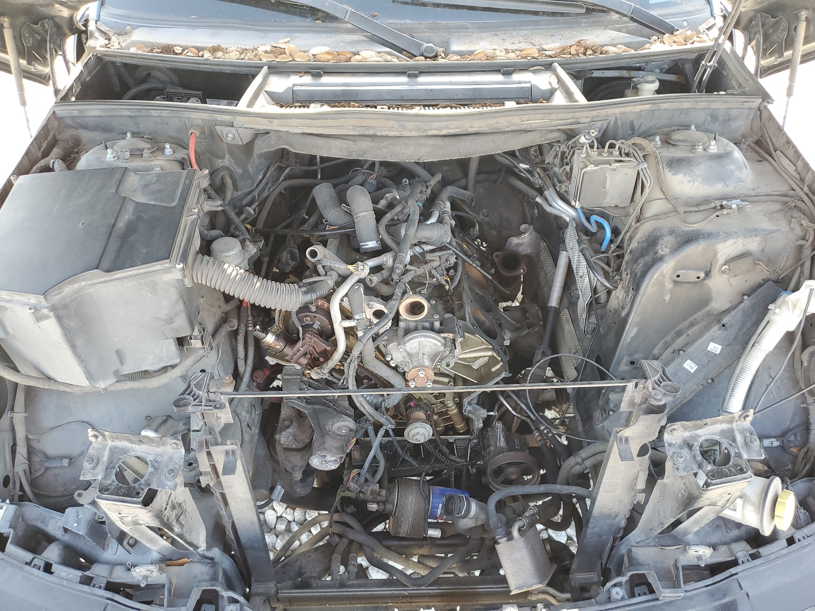 SALMF15438A285583 2008 Land Rover Range Rover Hse