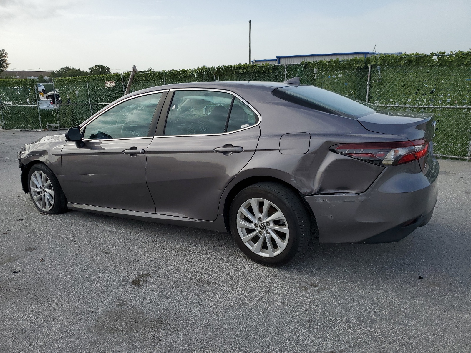 2021 Toyota Camry Le vin: 4T1C11AKXMU428684