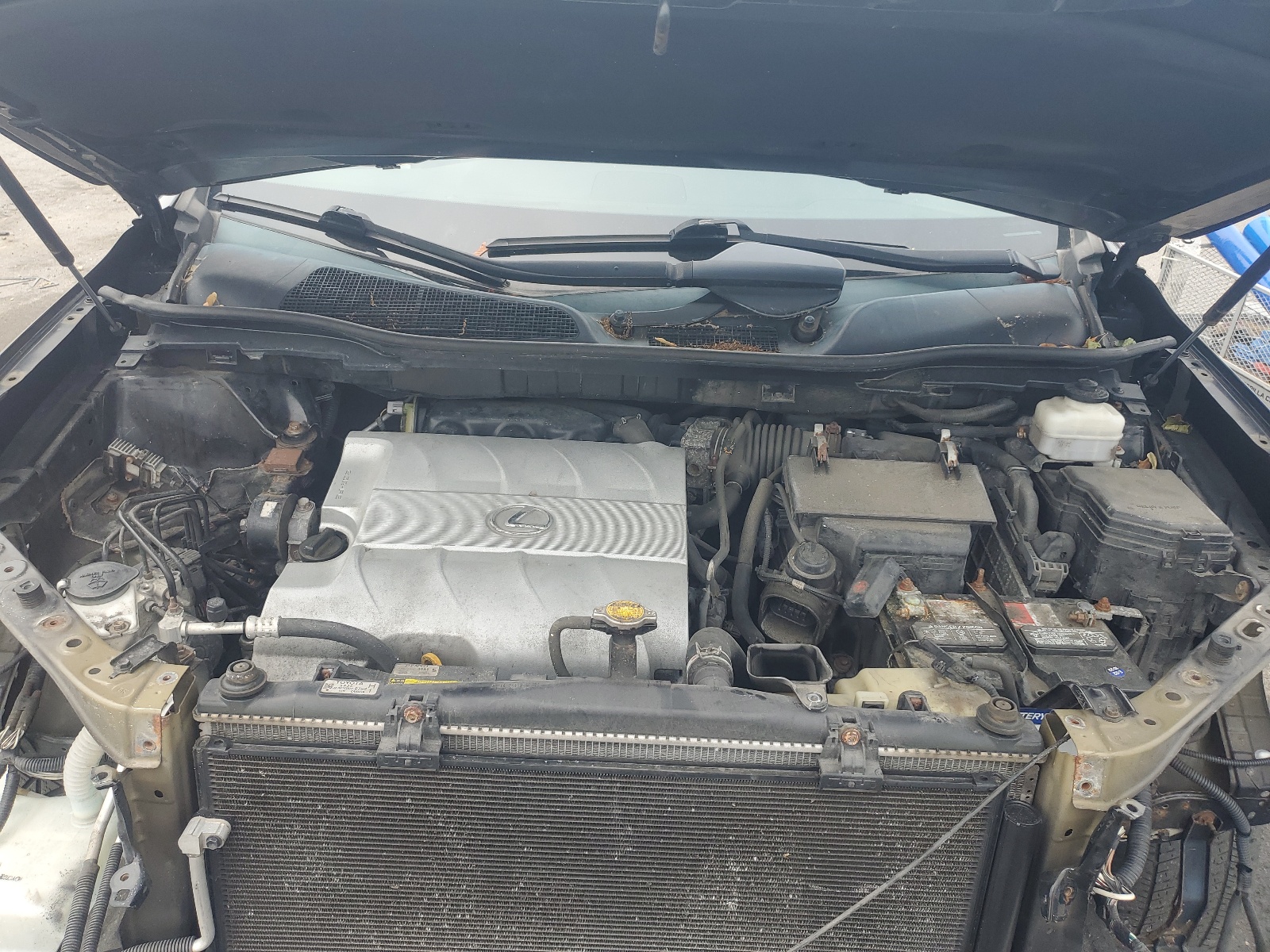 2T2BK1BA2BC110115 2011 Lexus Rx 350