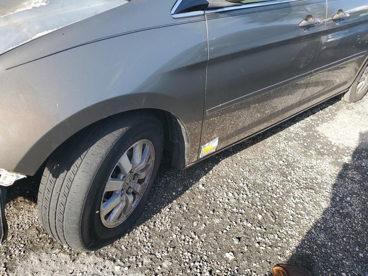 2009 Honda Odyssey Exl VIN: 5FNRL38719B411424 Lot: 64080734