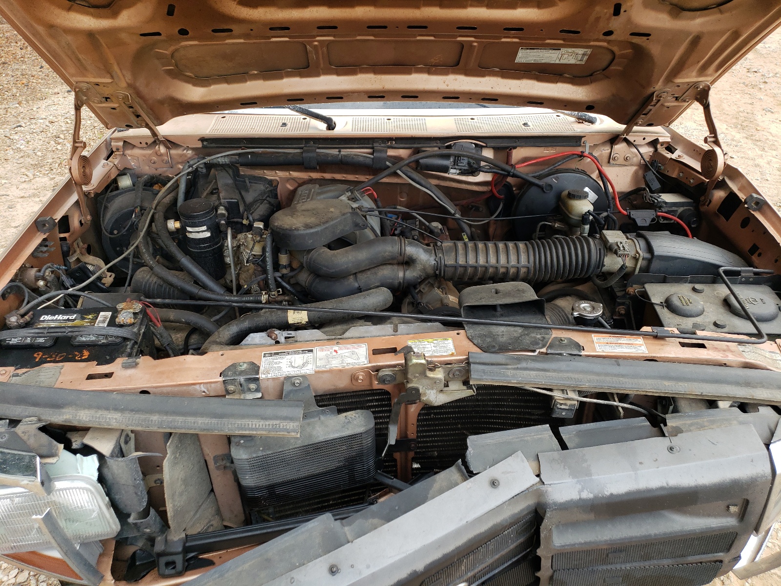 1FTEX14N4RKB77665 1994 Ford F150