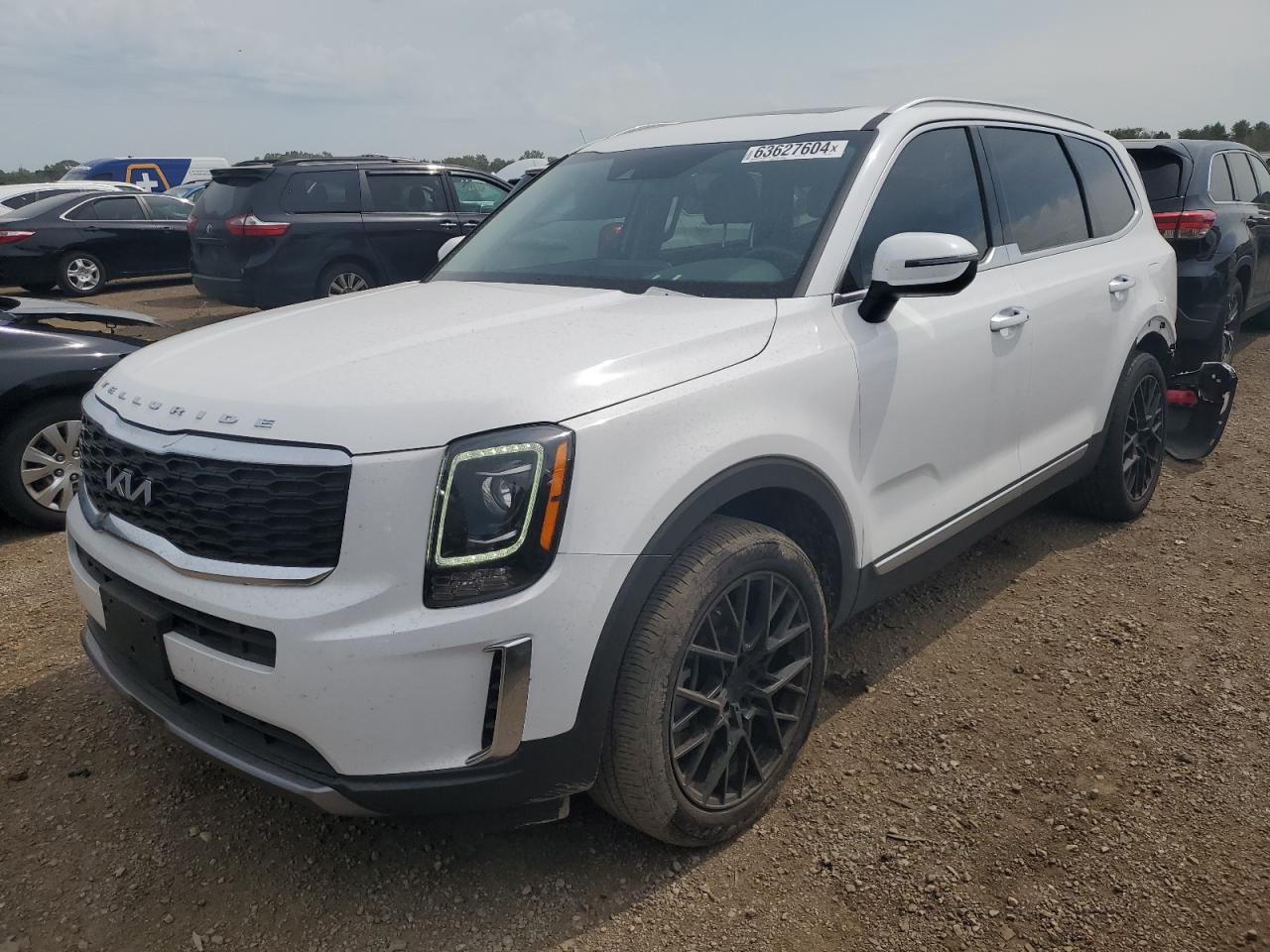 2022 Kia Telluride S VIN: 5XYP6DHC6NG325076 Lot: 63627604