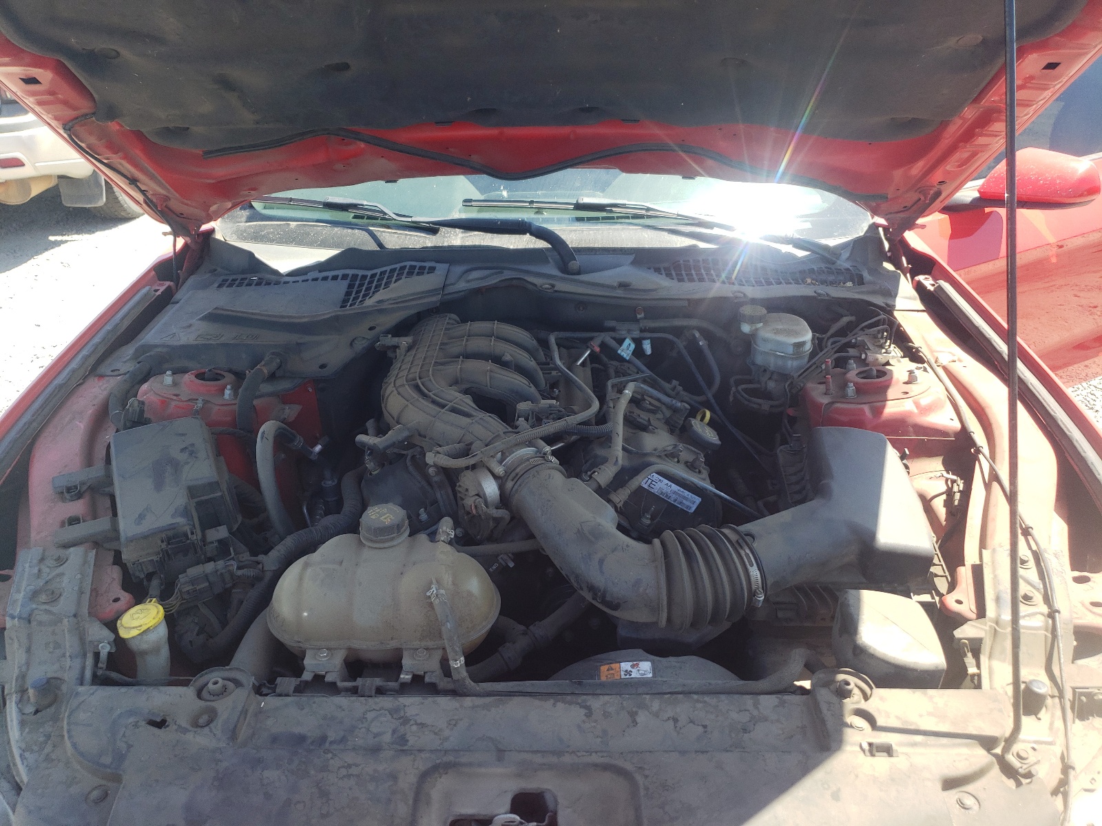 1FA6P8AM0F5319194 2015 Ford Mustang