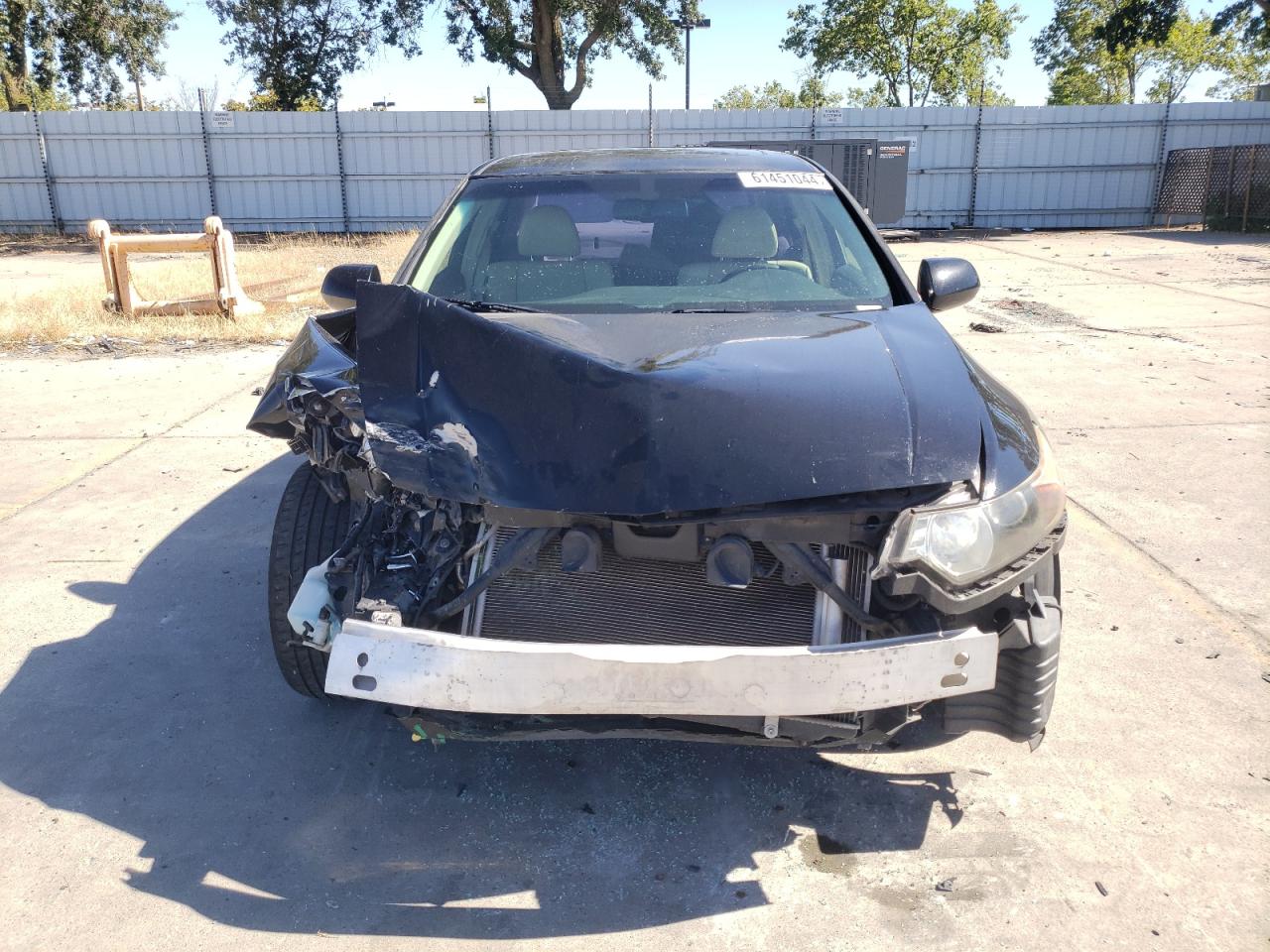 2010 Acura Tsx VIN: JH4CU2F69AC022313 Lot: 61451044