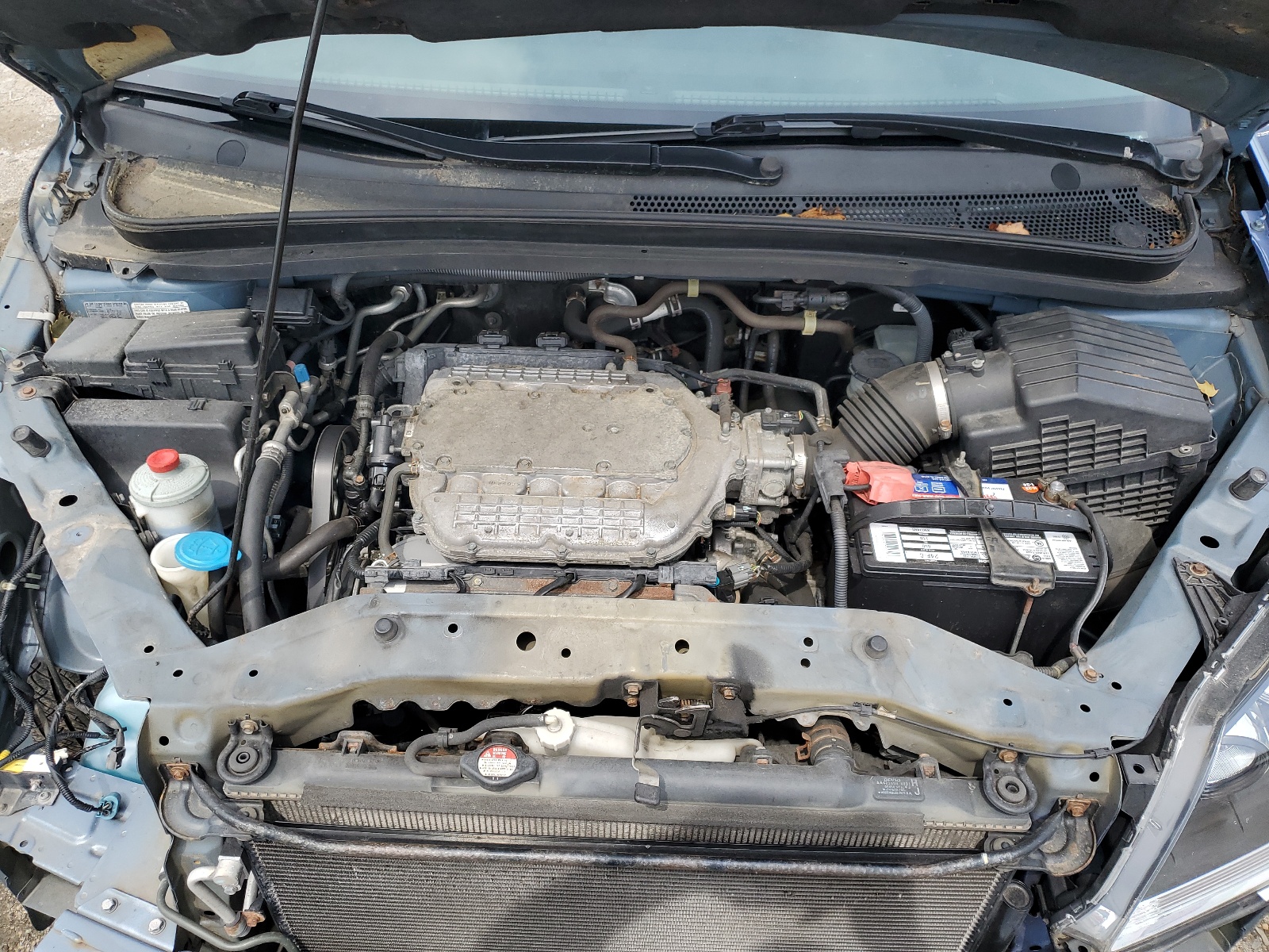 5FNRL386X7B073266 2007 Honda Odyssey Exl