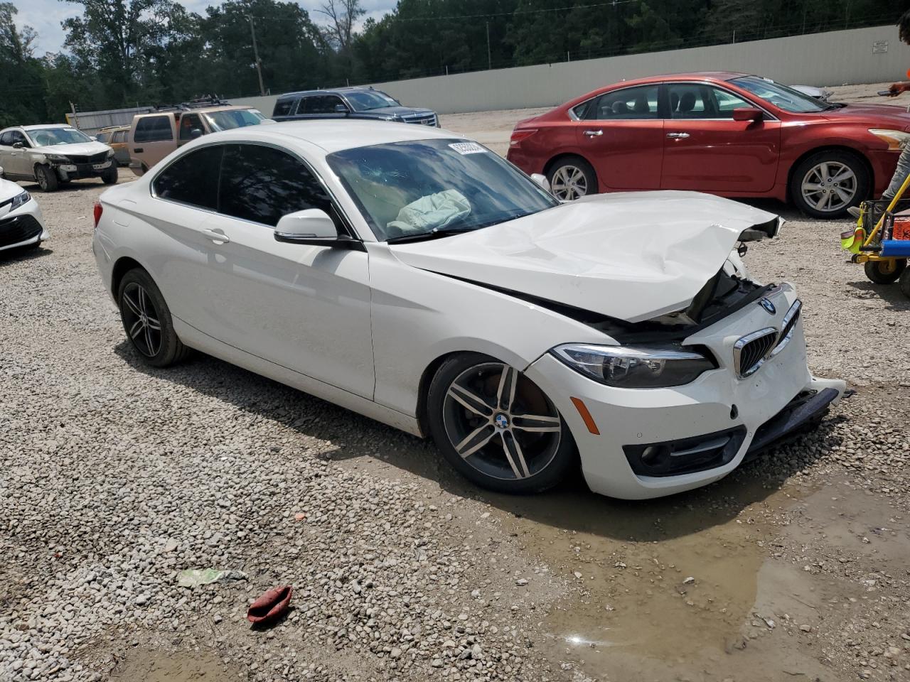 2017 BMW 230I VIN: WBA2F9C38HV665015 Lot: 62553224