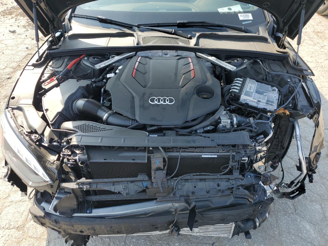 2024 Audi RS5 - Image 11