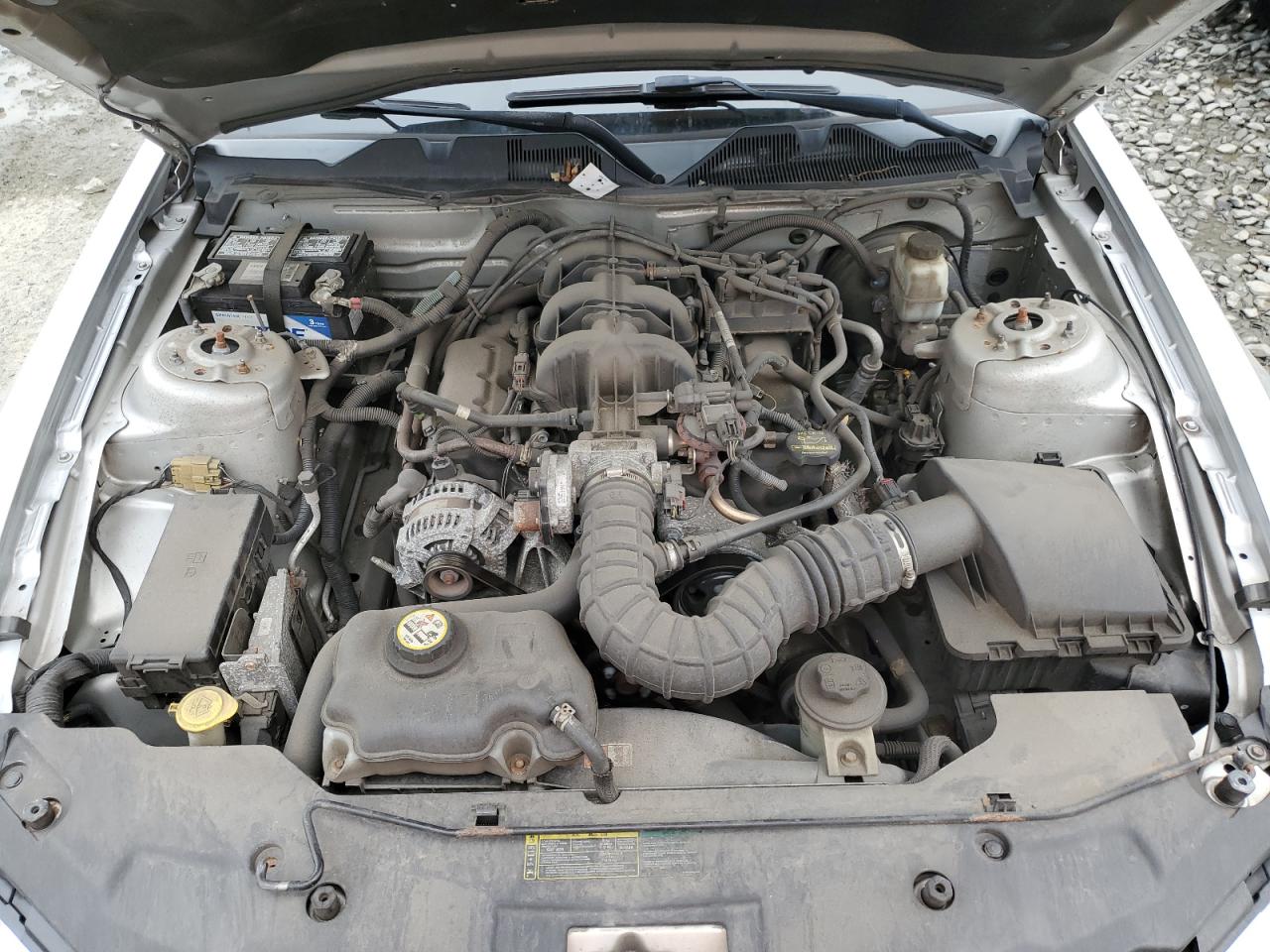 2010 Ford Mustang VIN: 1ZVBP8AN4A5131947 Lot: 63829234