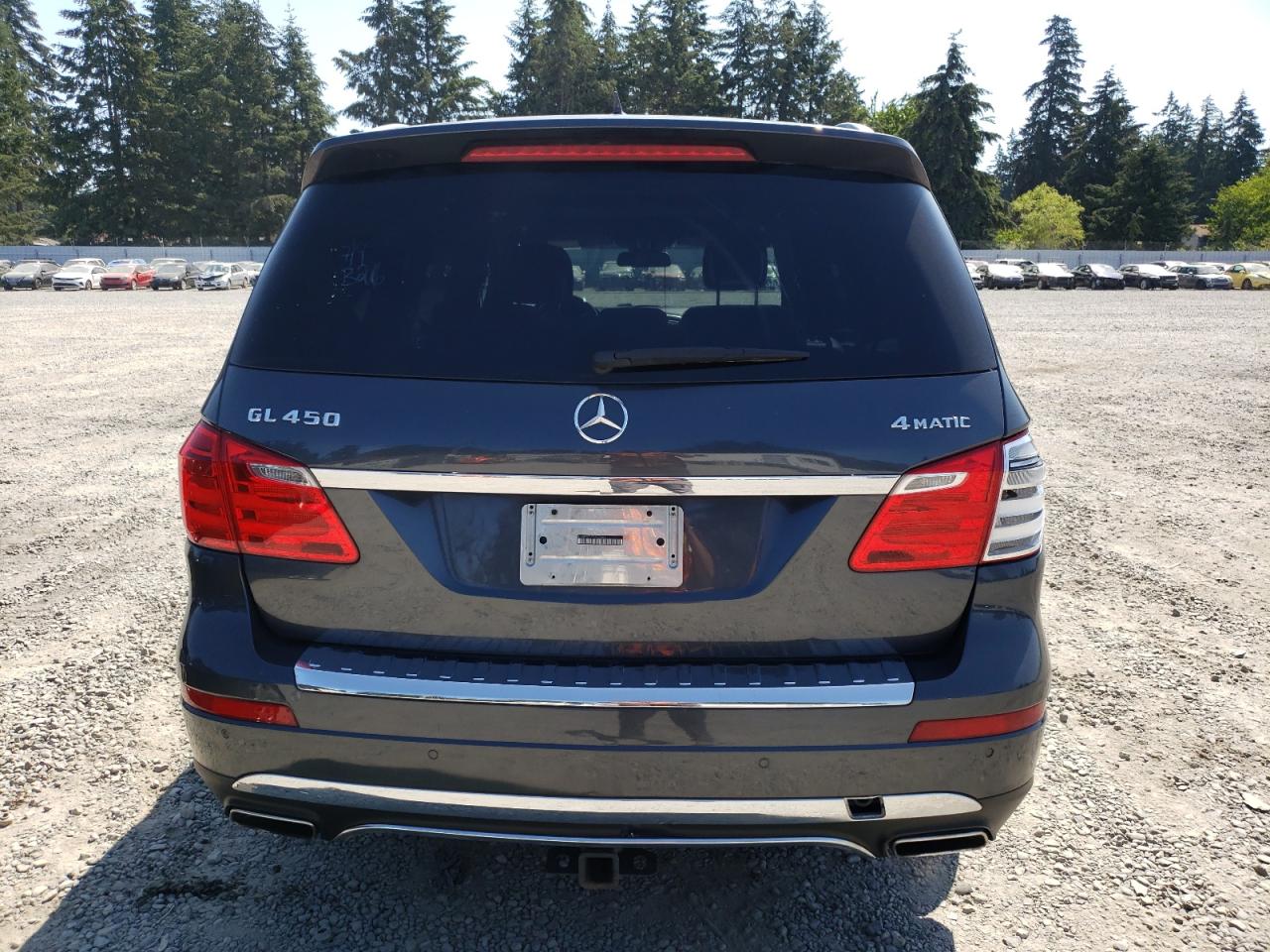 2013 Mercedes-Benz Gl 450 4Matic VIN: 4JGDF7CE7DA224099 Lot: 62690194