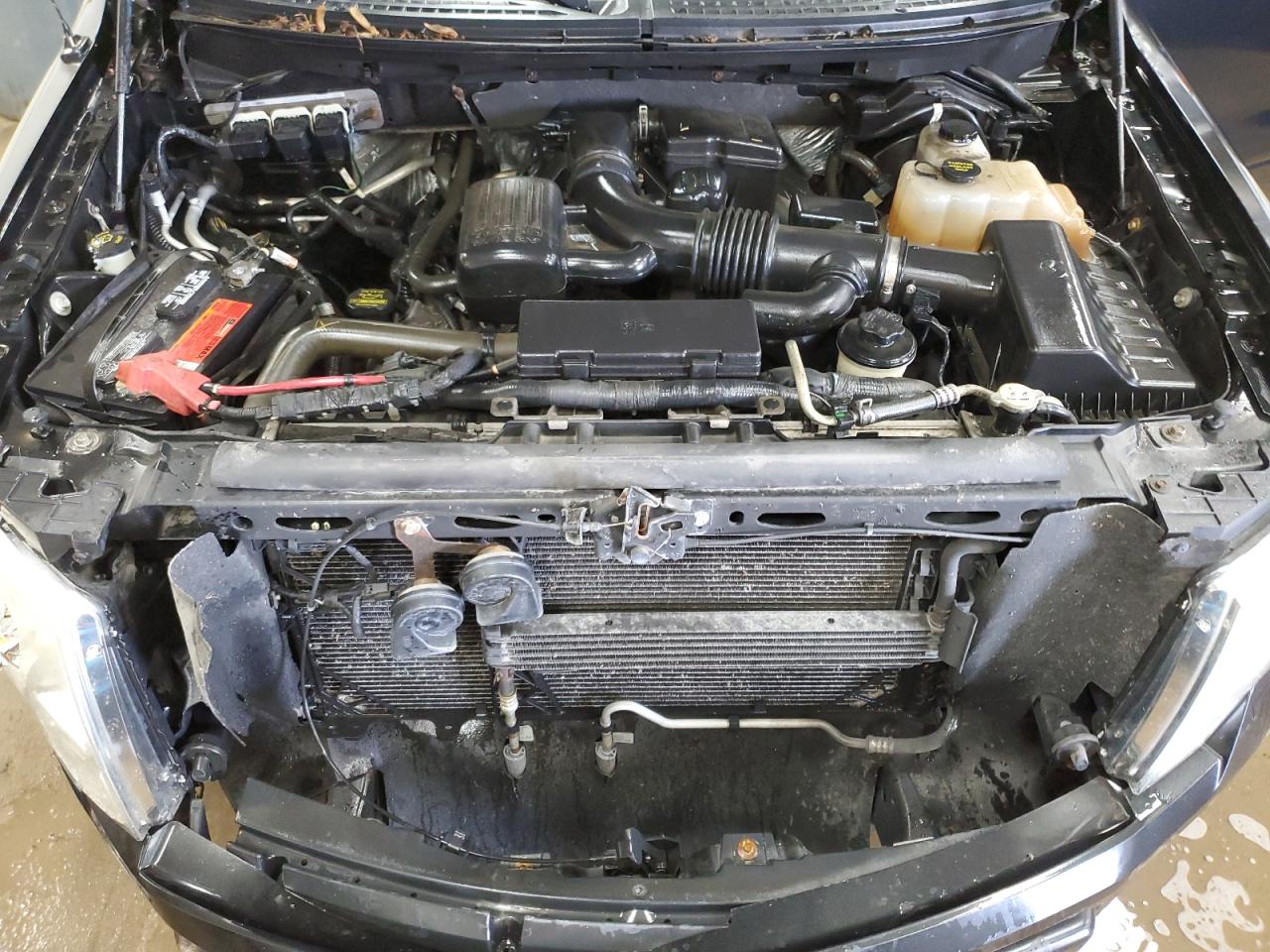 2010 Ford F150 Supercrew VIN: 1FTFW1EVXAFA91151 Lot: 62917934