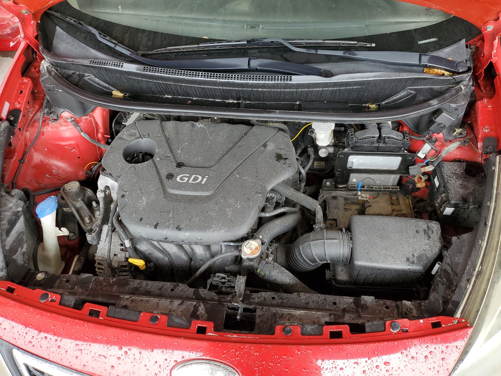 2013 Kia Rio Lx vin: KNADM4A31D6256668