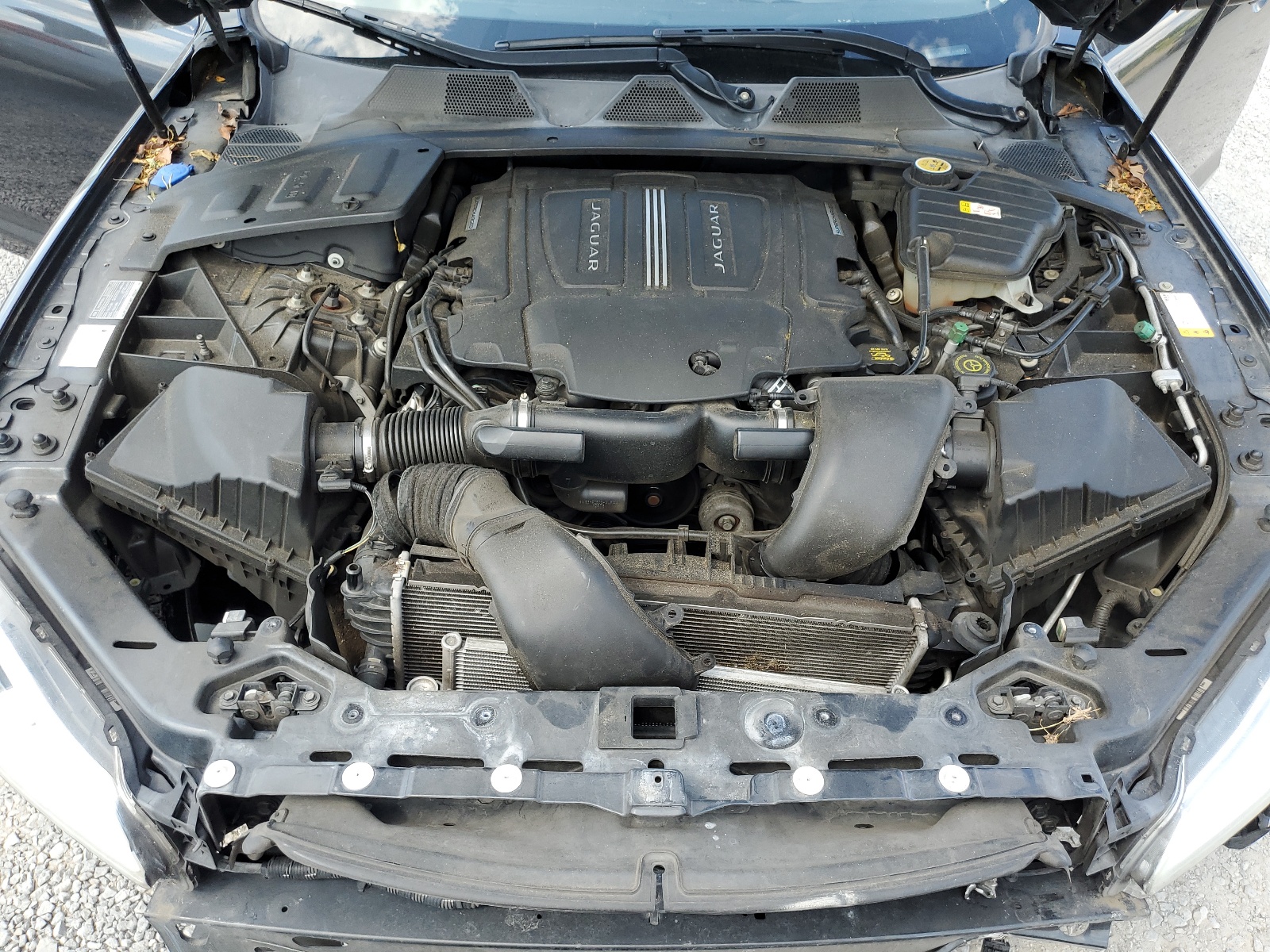 SAJWJ2GD6F8V86338 2015 Jaguar Xjl Portfolio