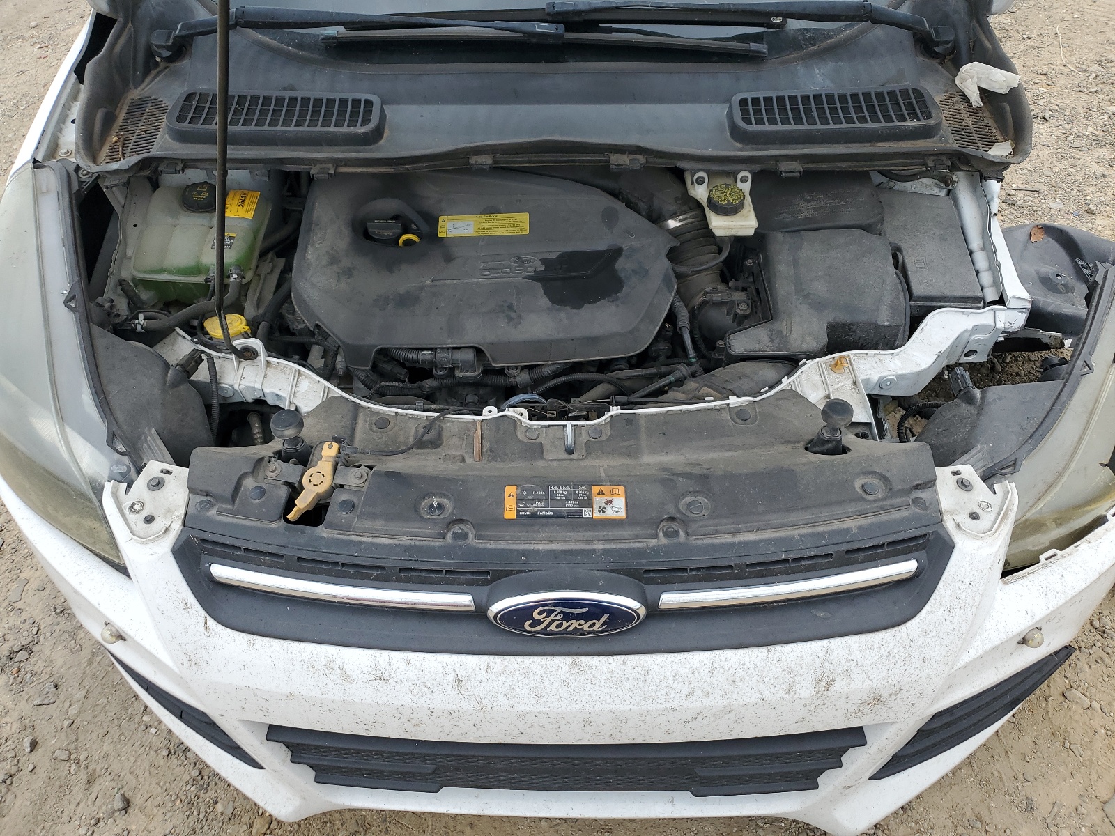 1FMCU9GX0DUB15880 2013 Ford Escape Se