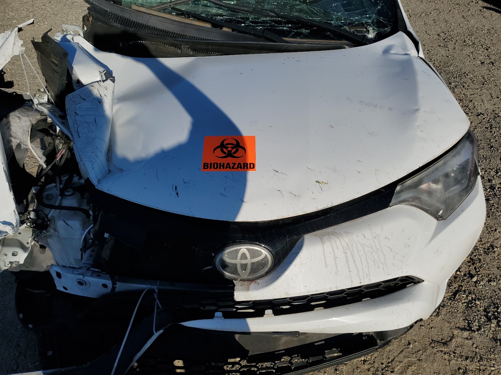 2T3JFREV6JW742878 2018 Toyota Rav4 Se