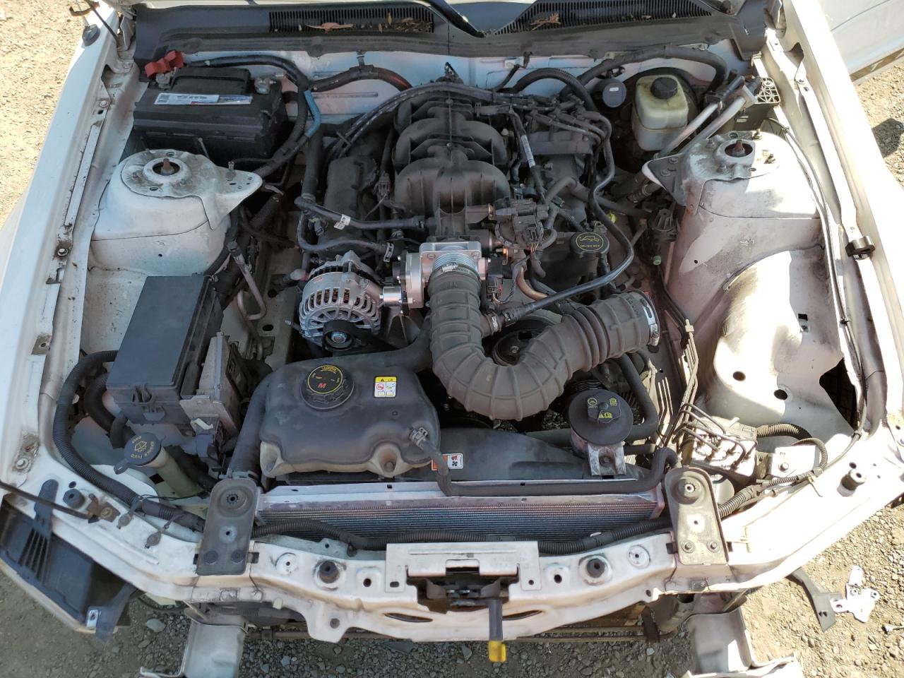 2006 Ford Mustang VIN: 1ZVFT80N565159990 Lot: 63108874