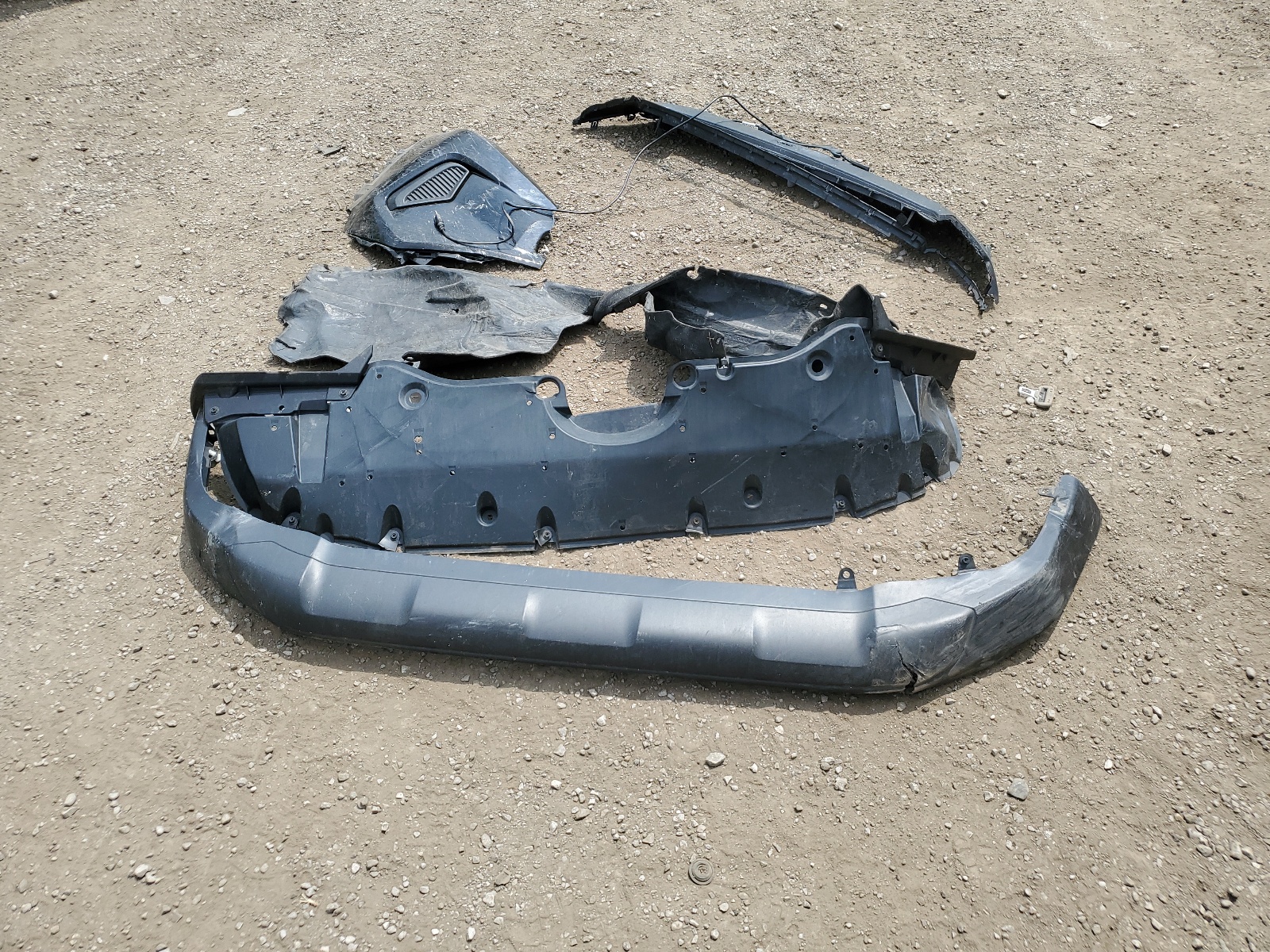 2T3B1RFV2KW031035 2019 Toyota Rav4 Le