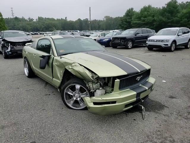 2006 Ford Mustang VIN: 1ZVFT80N865207398 Lot: 64780744