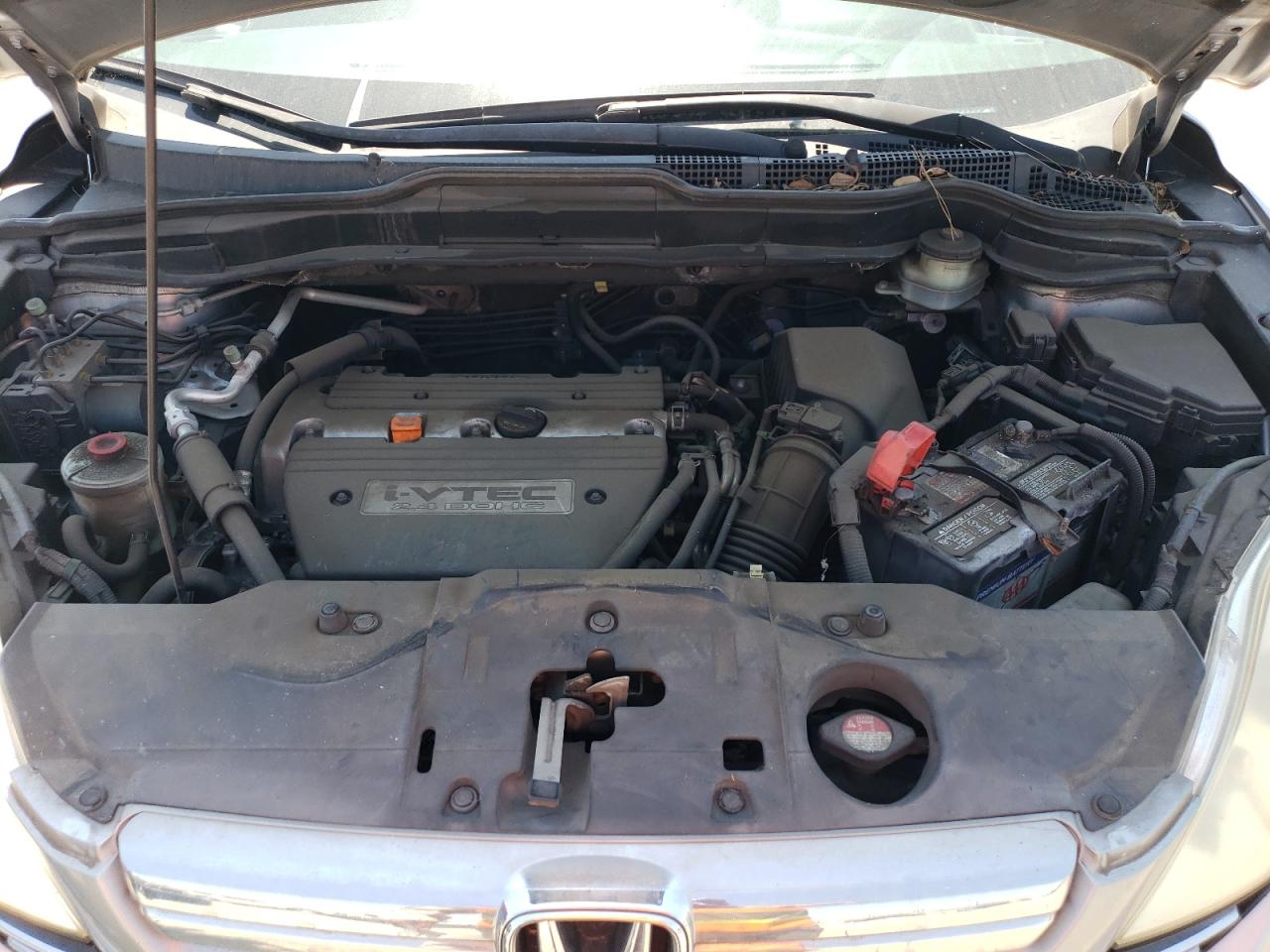 2007 Honda Cr-V Exl VIN: JHLRE487X7C061370 Lot: 64474844