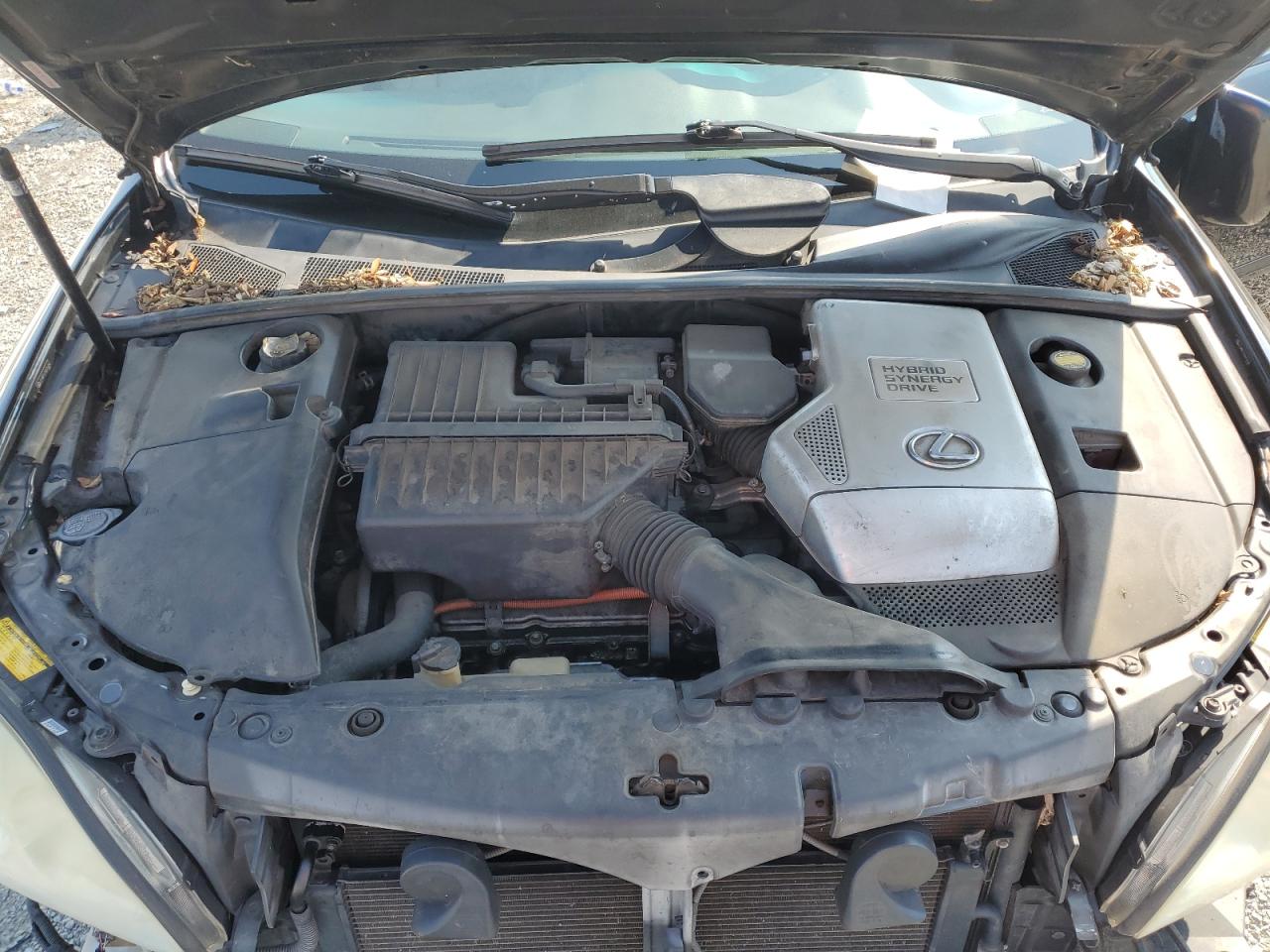 2006 Lexus Rx 400 VIN: JTJHW31U760016464 Lot: 62688554