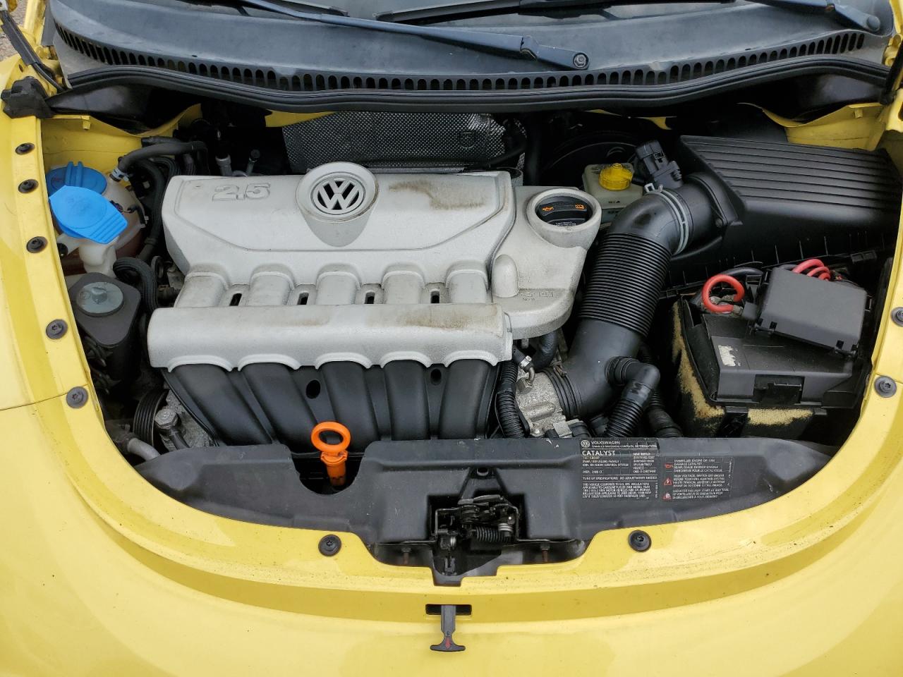 2008 Volkswagen New Beetle S VIN: 3VWRG31C28M517769 Lot: 64427554