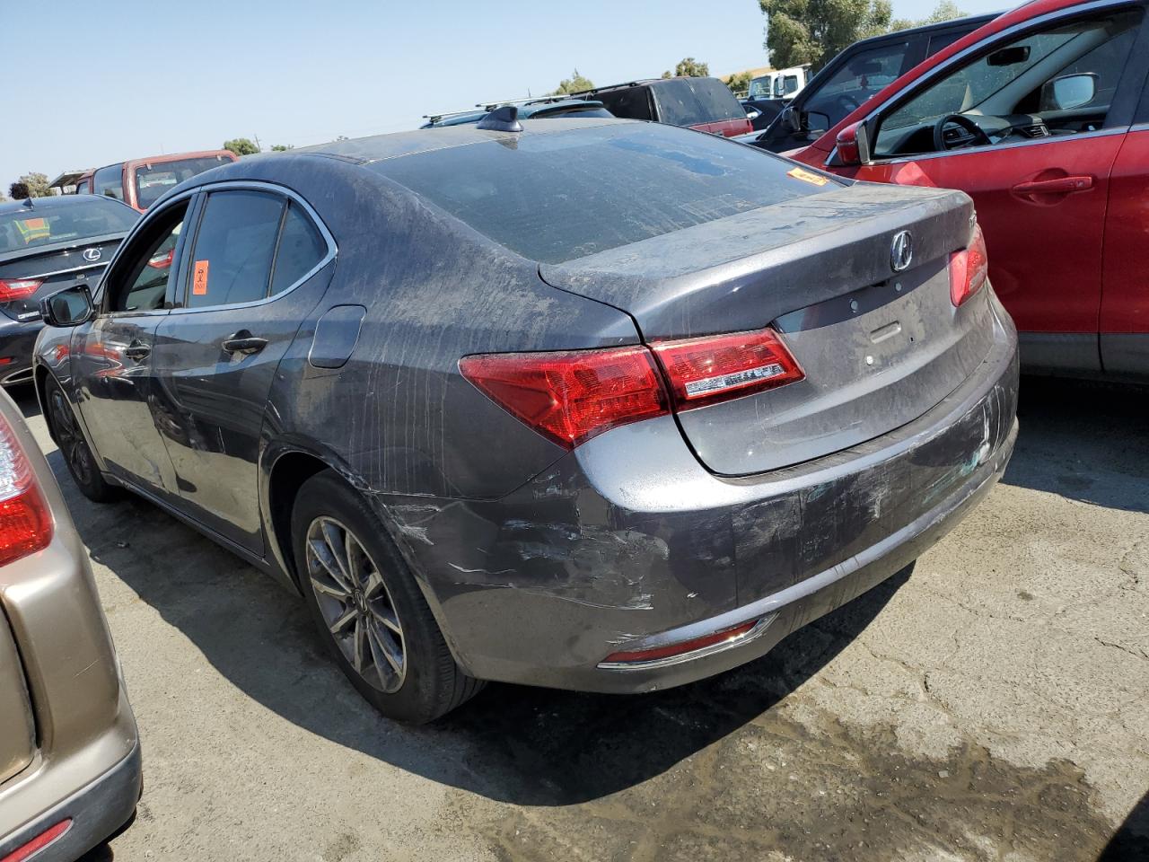 2020 Acura Tlx Technology VIN: 19UUB1F57LA013493 Lot: 63016034