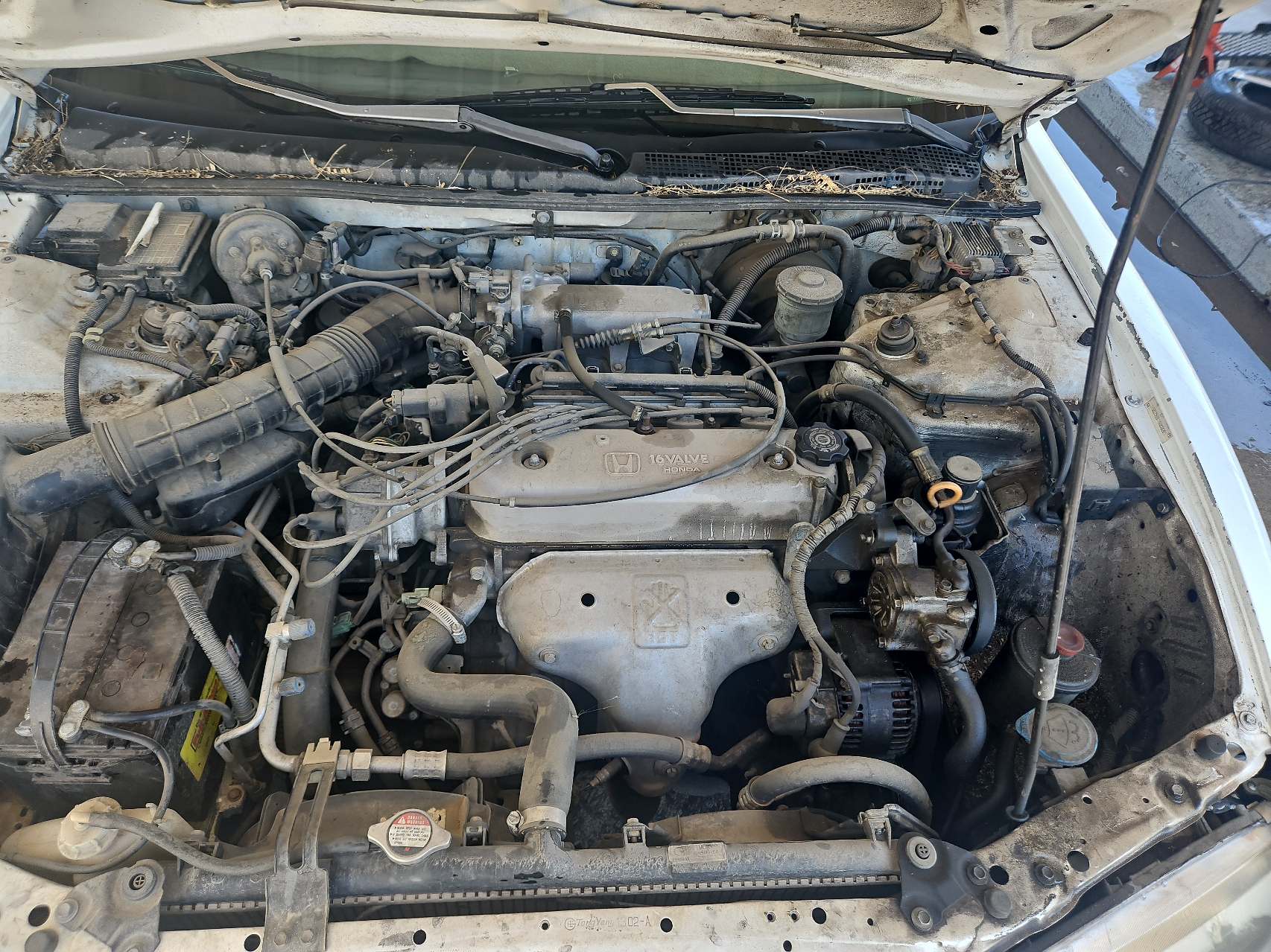 1HGCD5638TA200205 1996 Honda Accord Lx