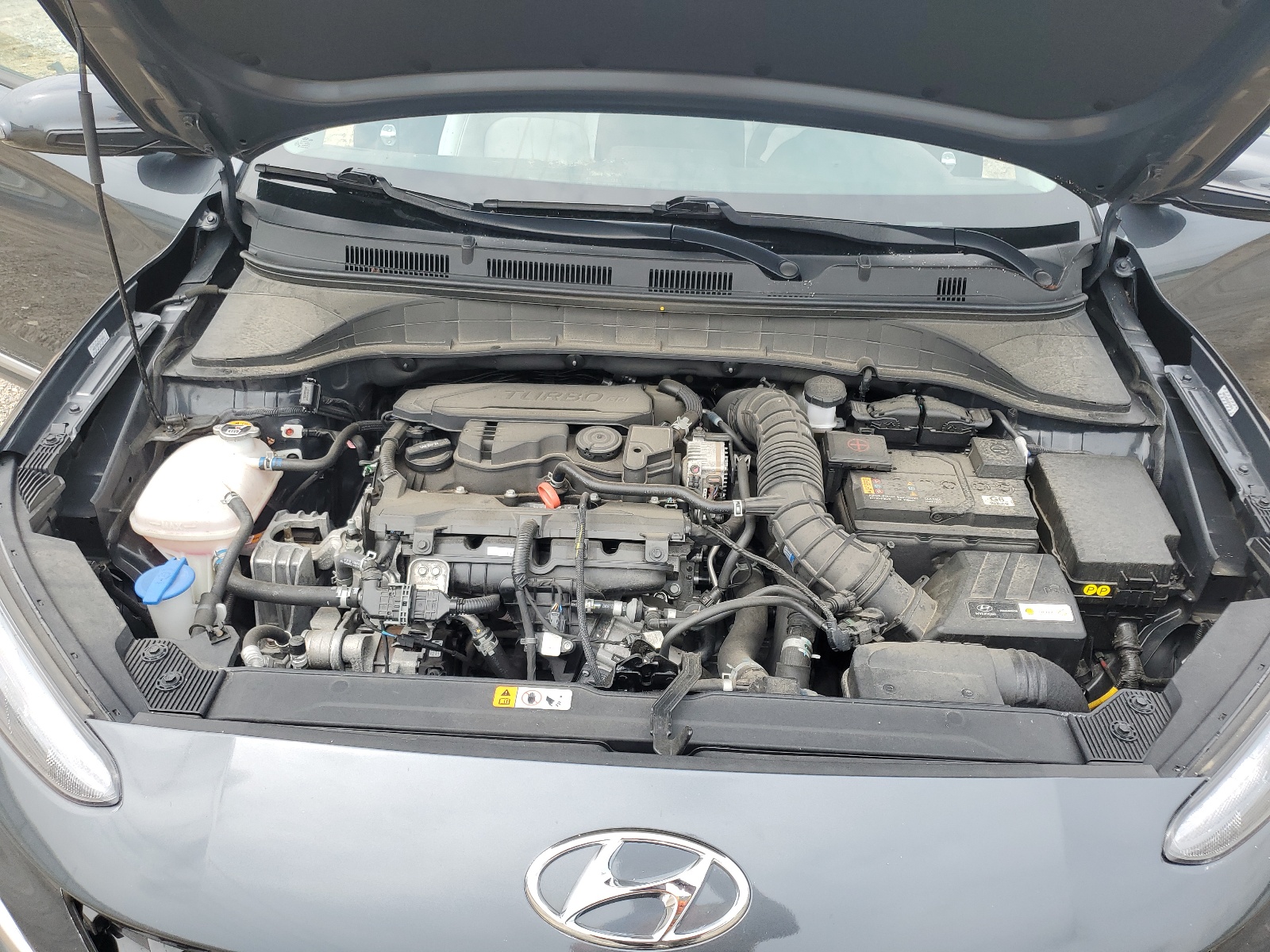 KM8K5CA33NU813204 2022 Hyundai Kona Limited