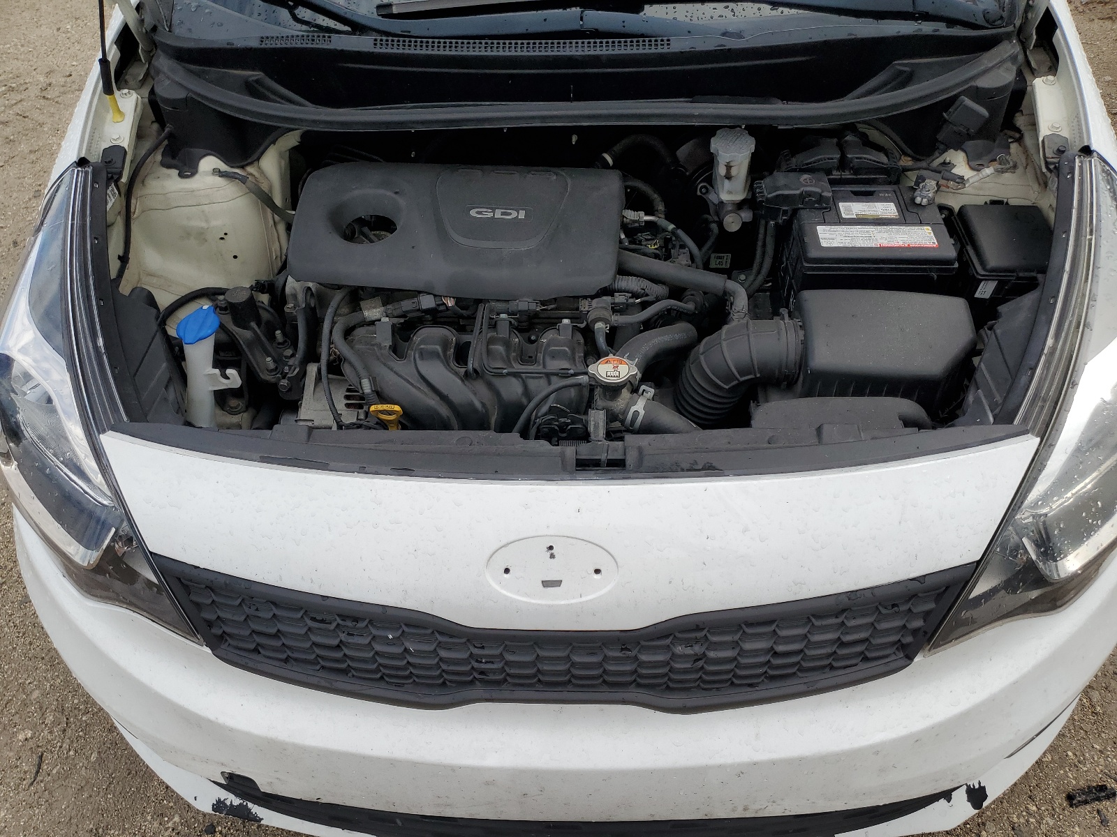 KNADM4A33H6044683 2017 Kia Rio Lx