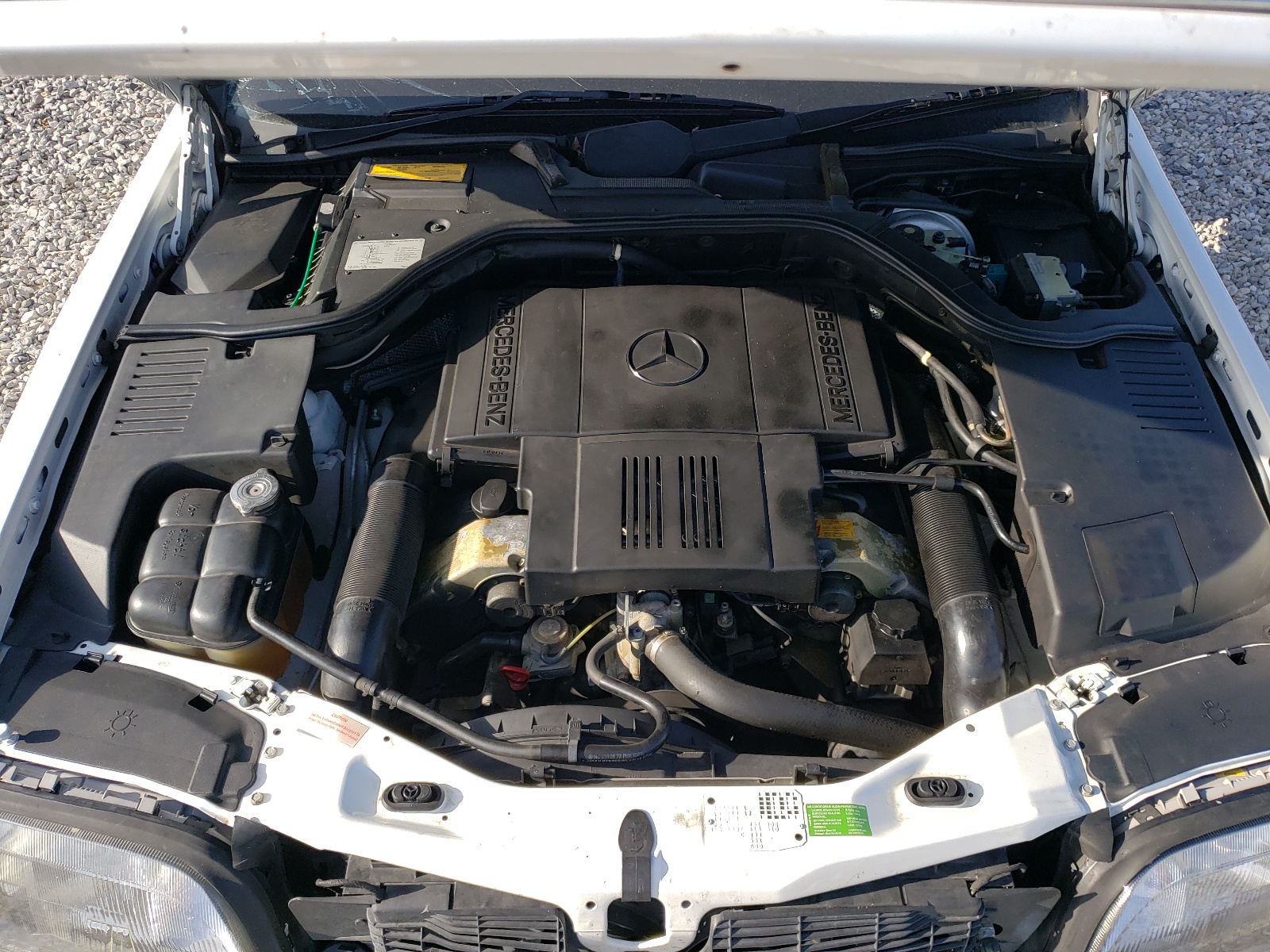 WDBGA43E8TA288759 1996 Mercedes-Benz S 420