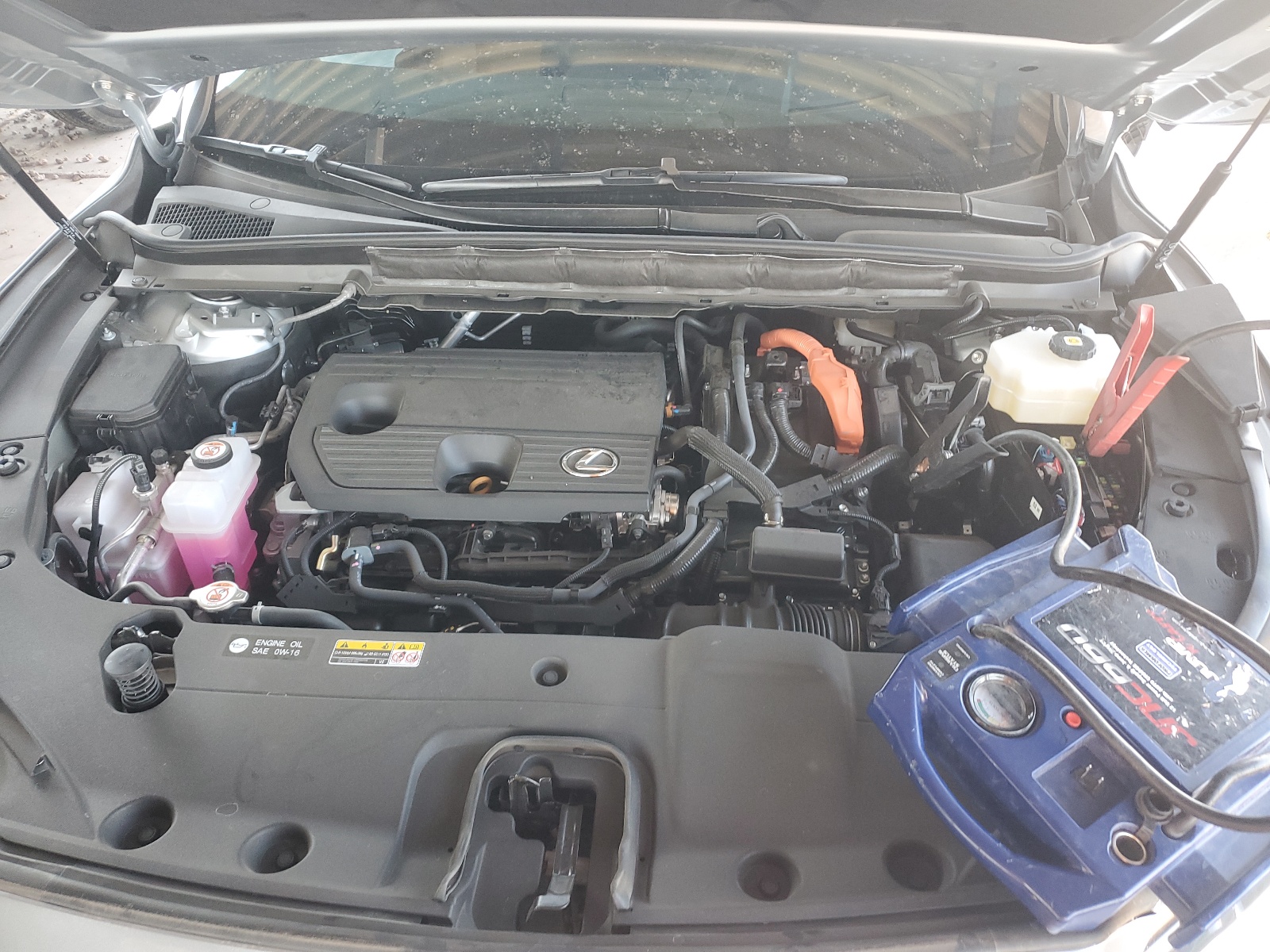 2T2BBMCA3RC023396 2024 Lexus Rx 350H Base